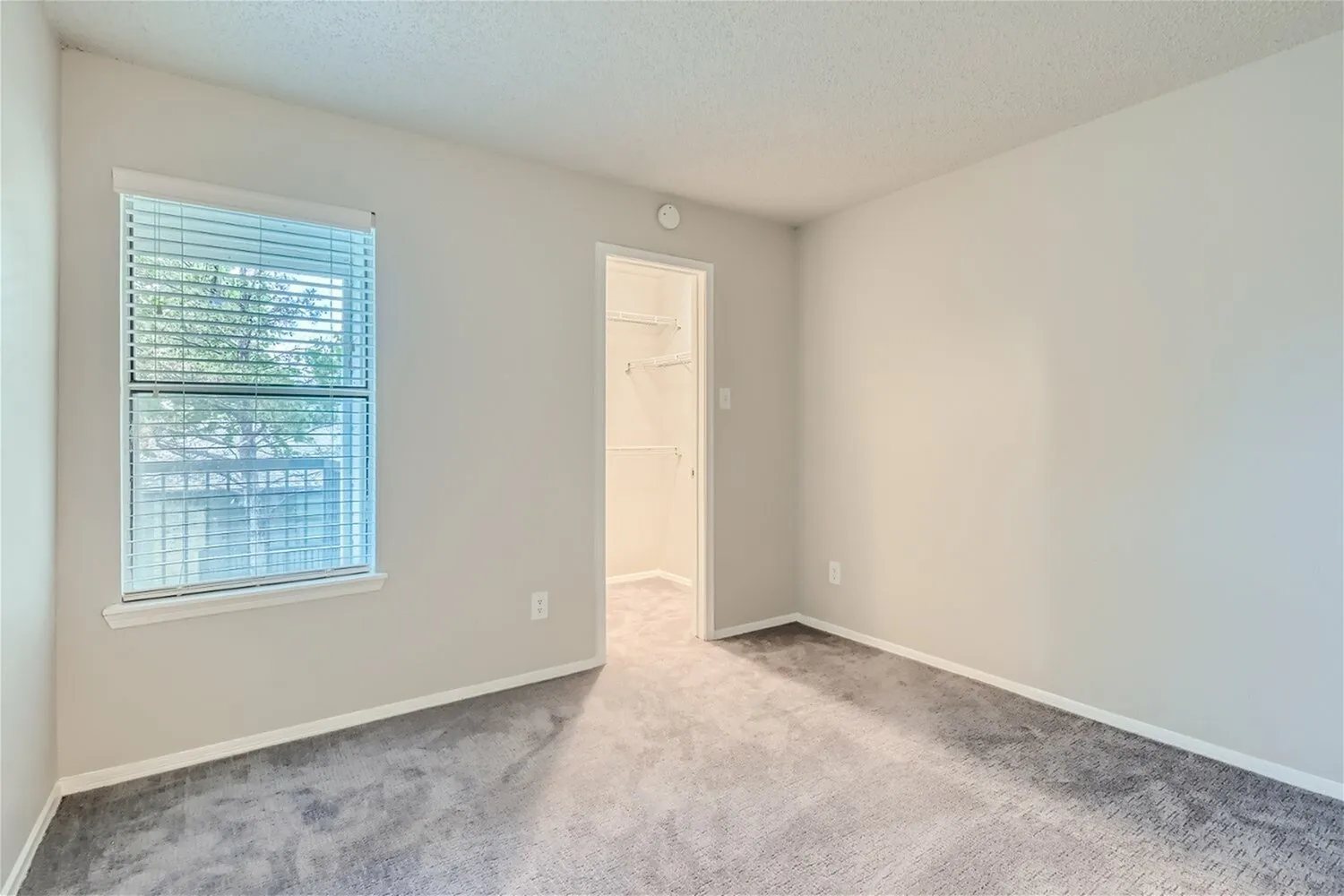 Bedroom, window with blinds, walk-in closet, carpet flooring