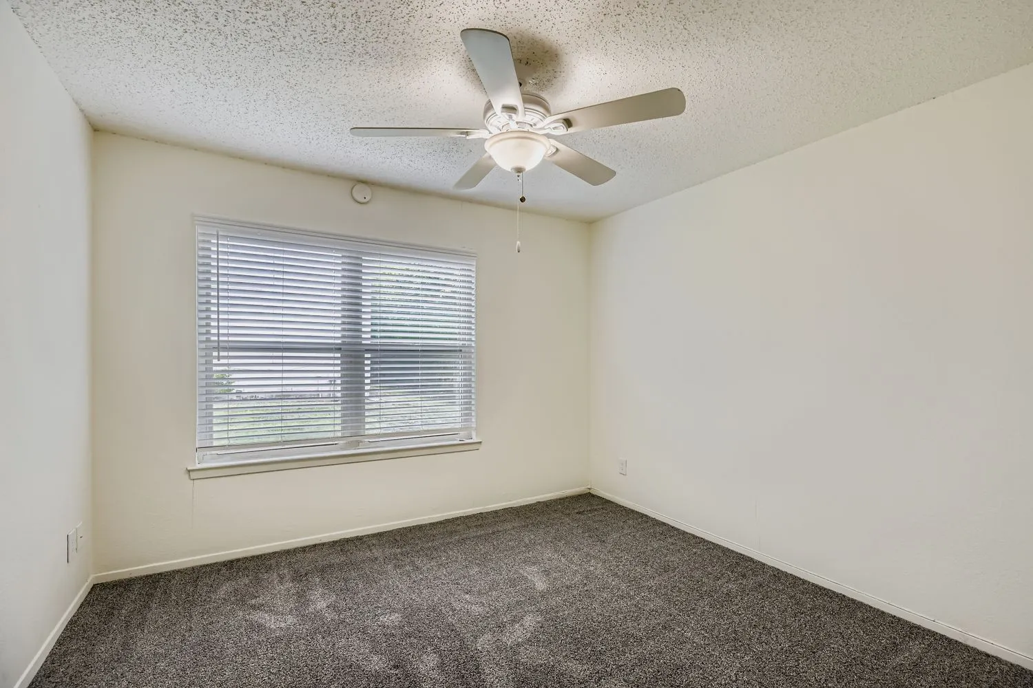 Third bedroom with carpet flooring and window