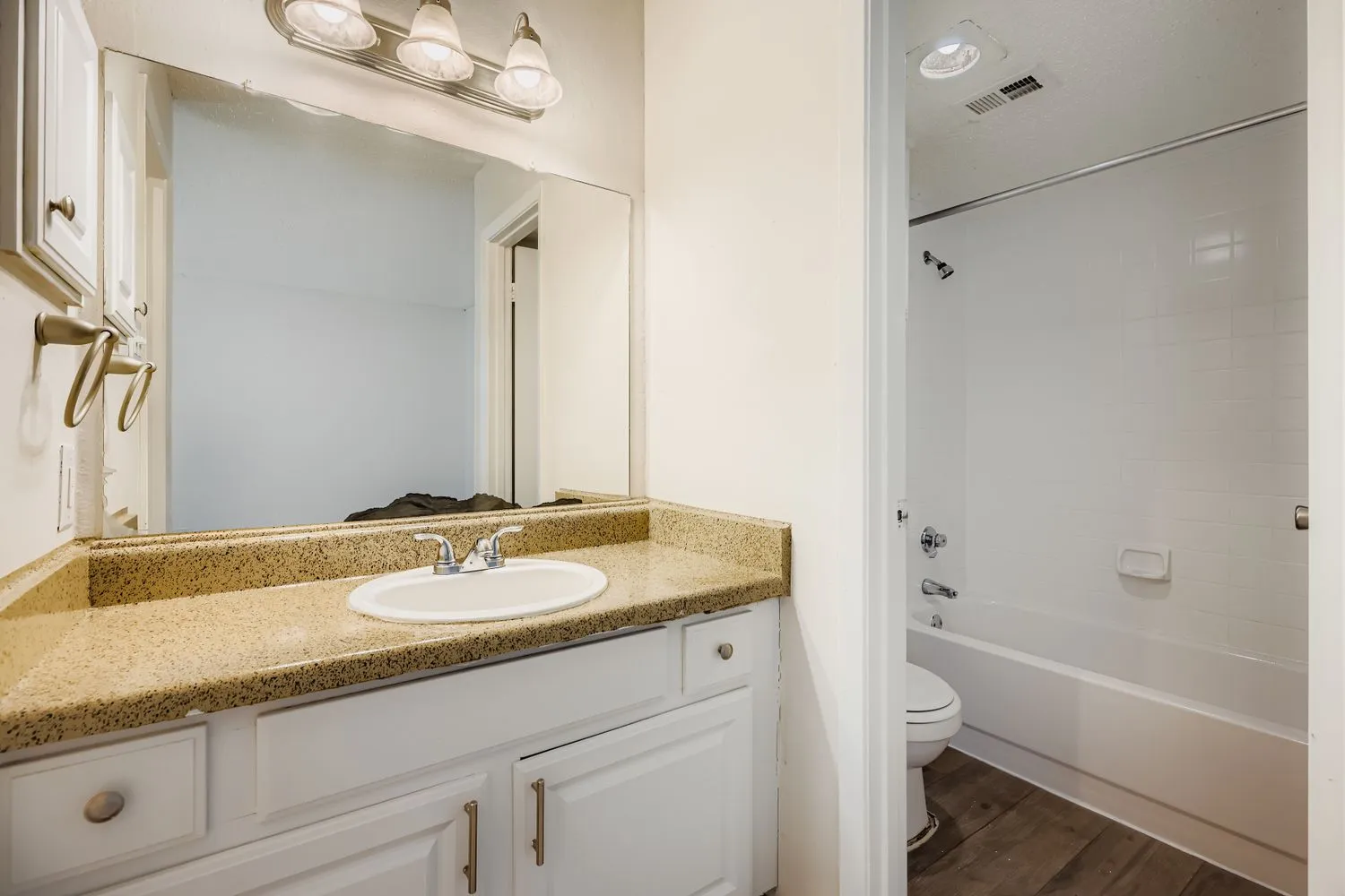 Primary bathroom vanity with view into shower and toilet area