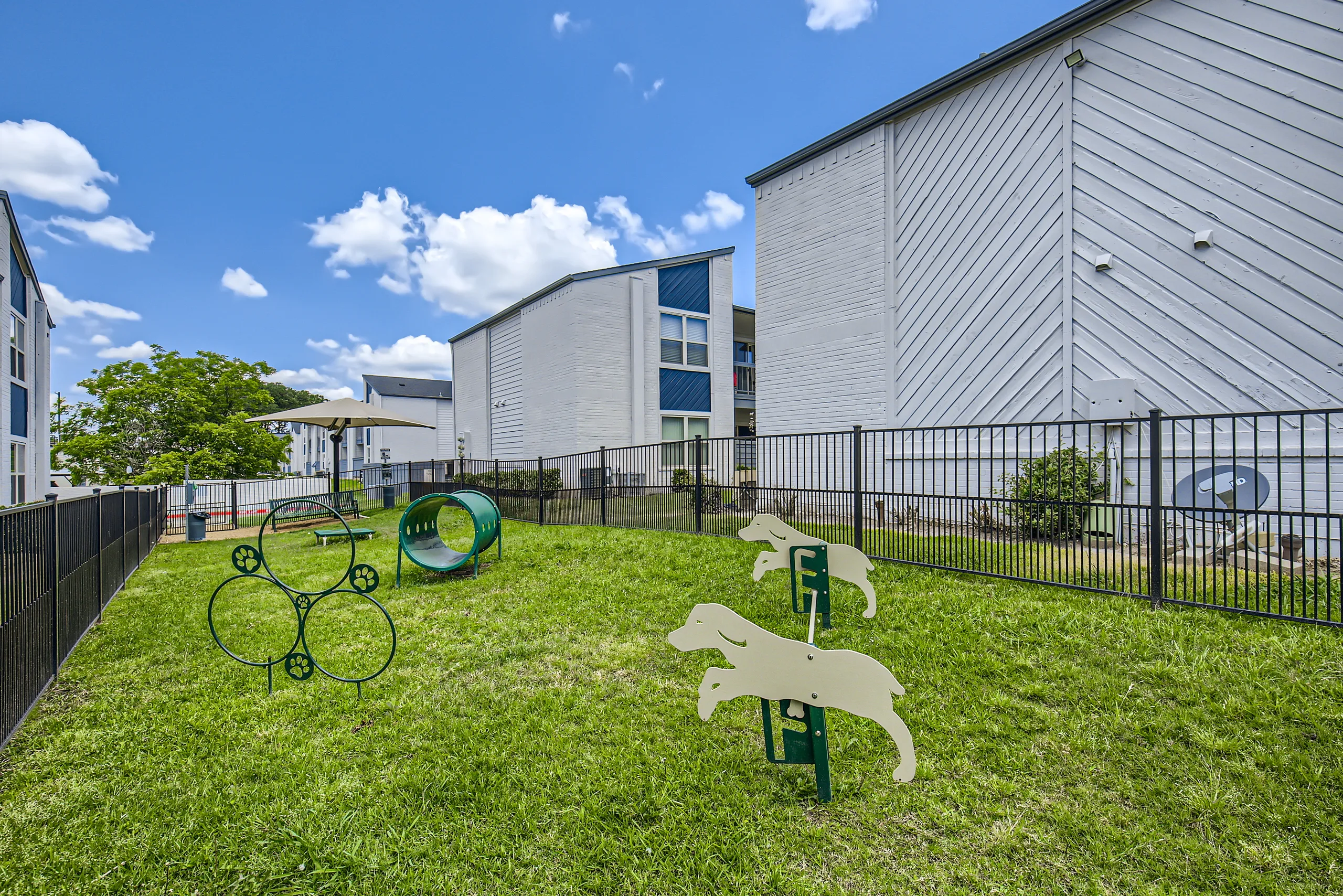 Pet-friendly park with agility obstacles and jump equipment