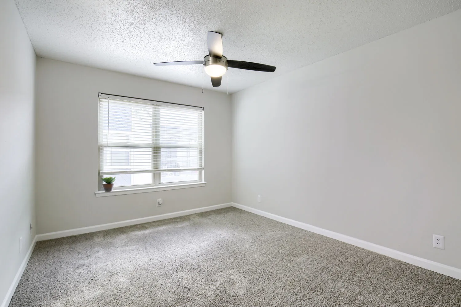 Primary bedroom with carpet flooring and window