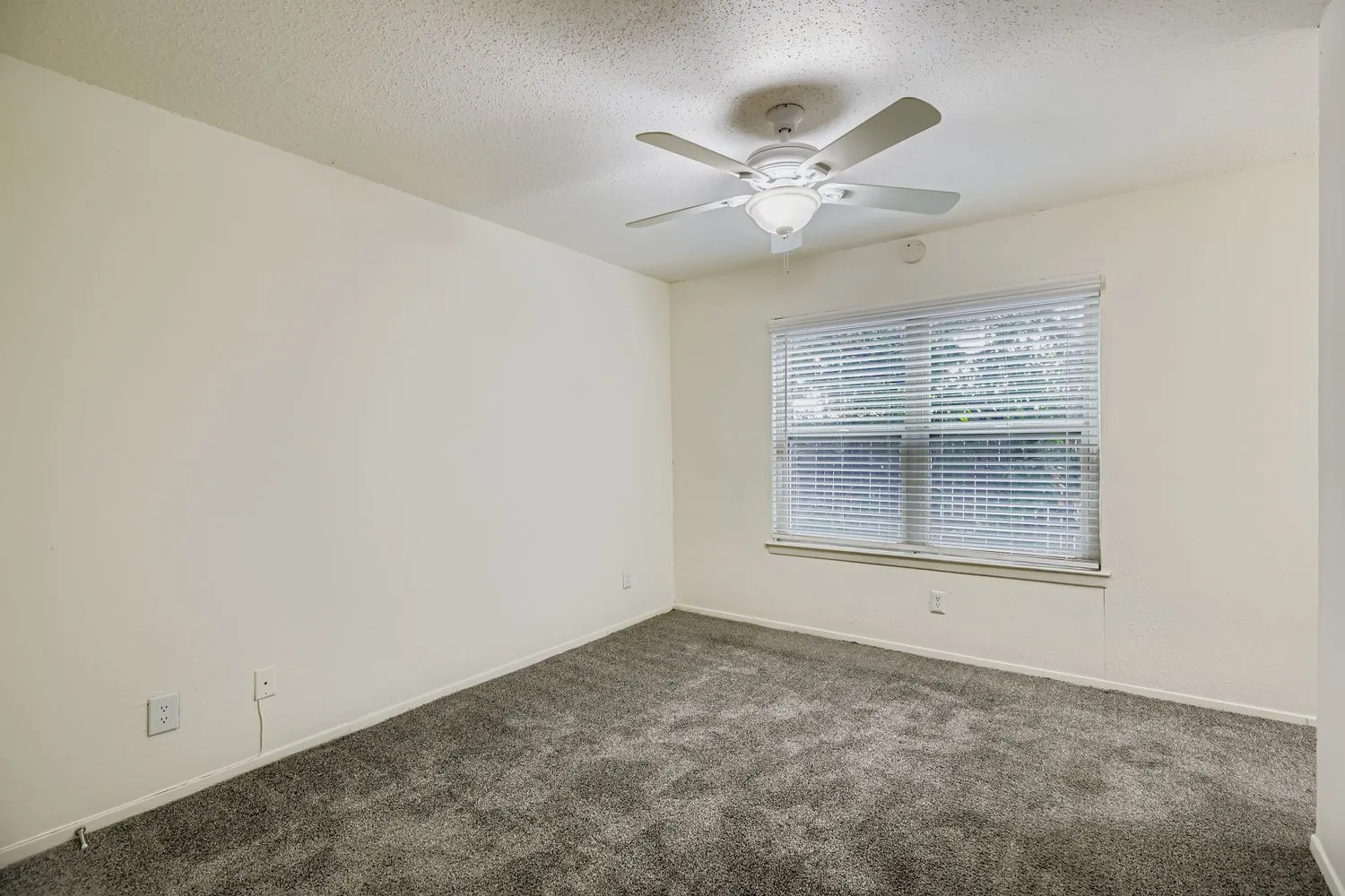 Primary bedroom with carpet flooring and window