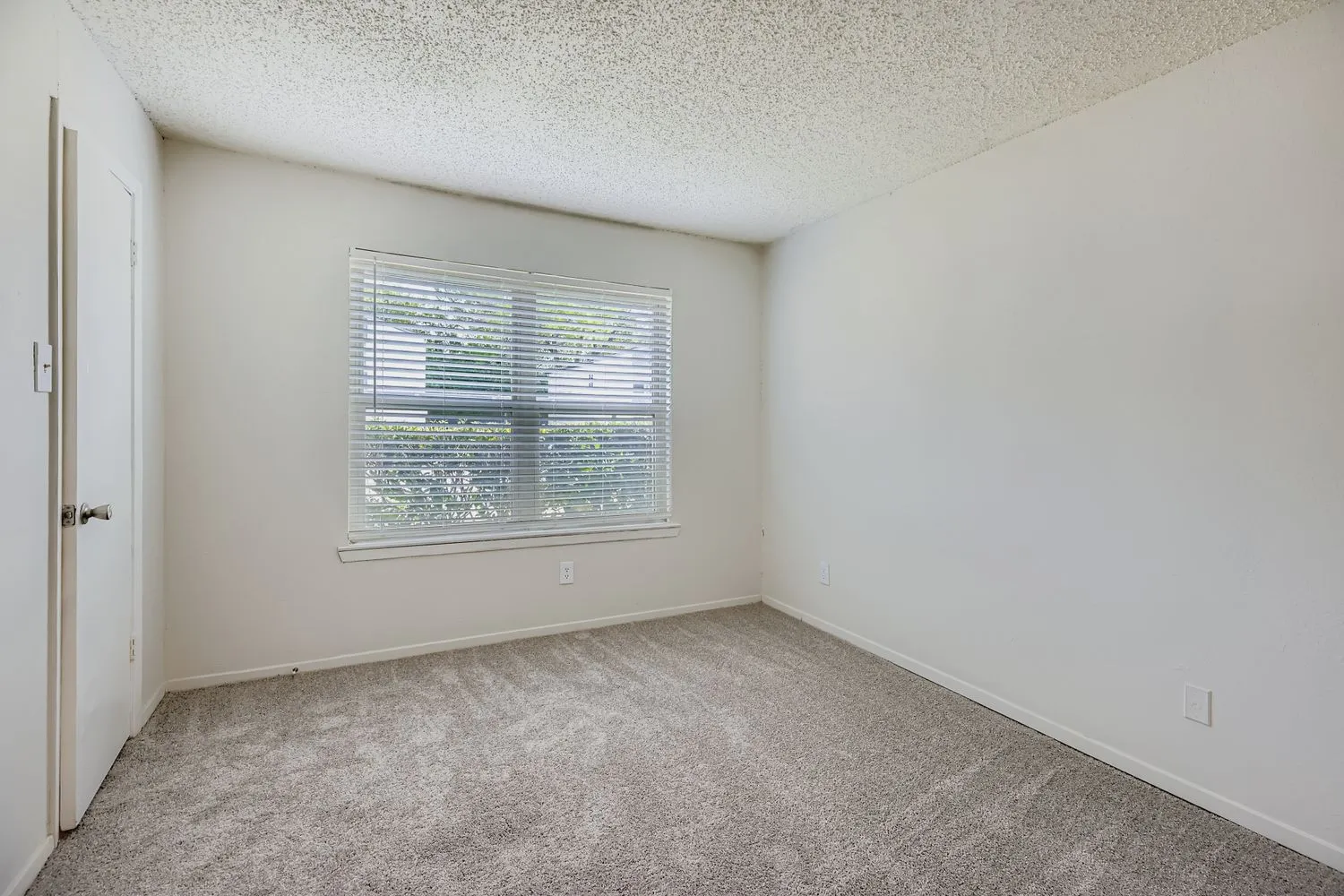 Secondary bedroom with carpet flooring and window
