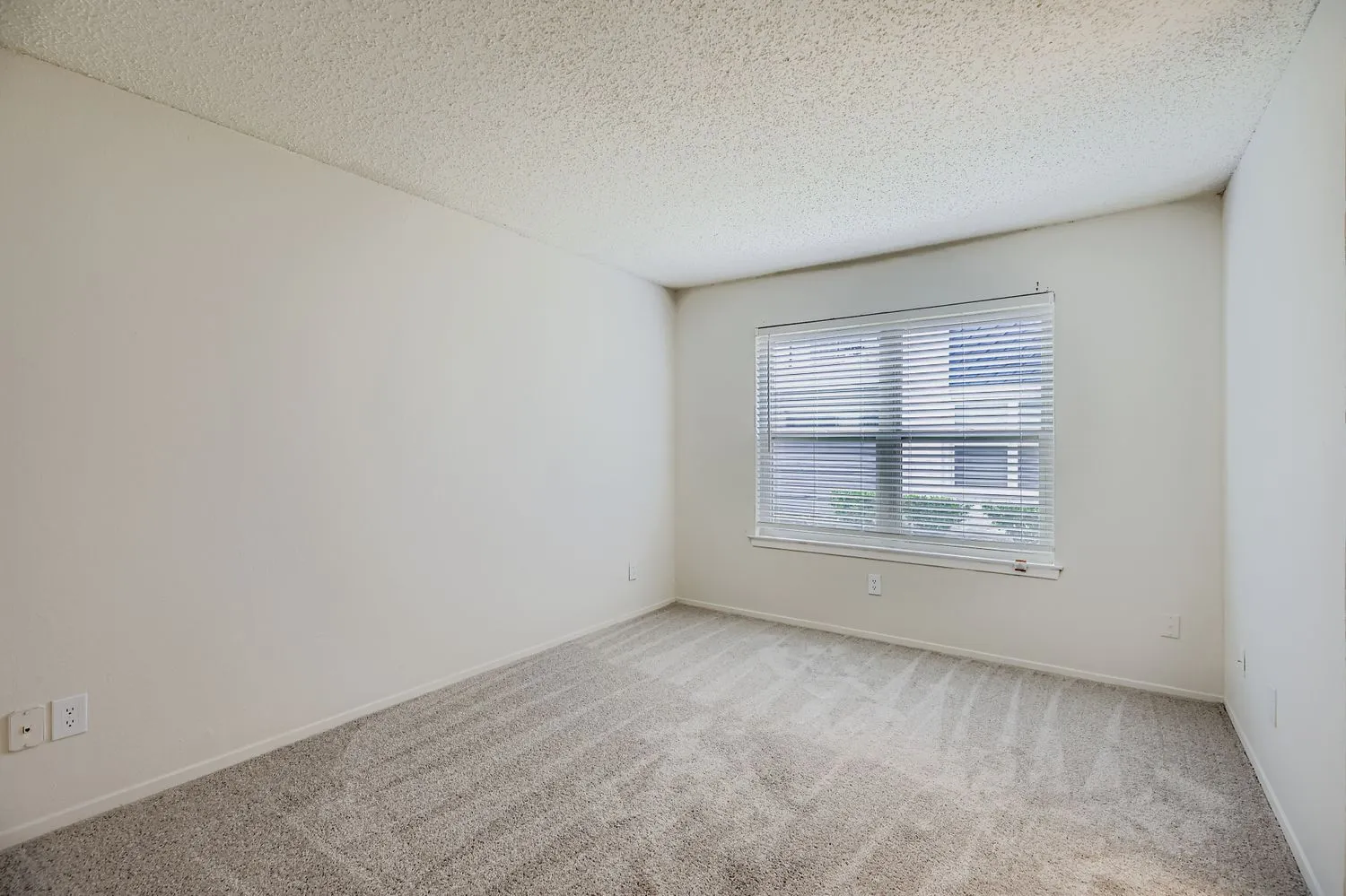 Primary bedroom with carpet flooring and window