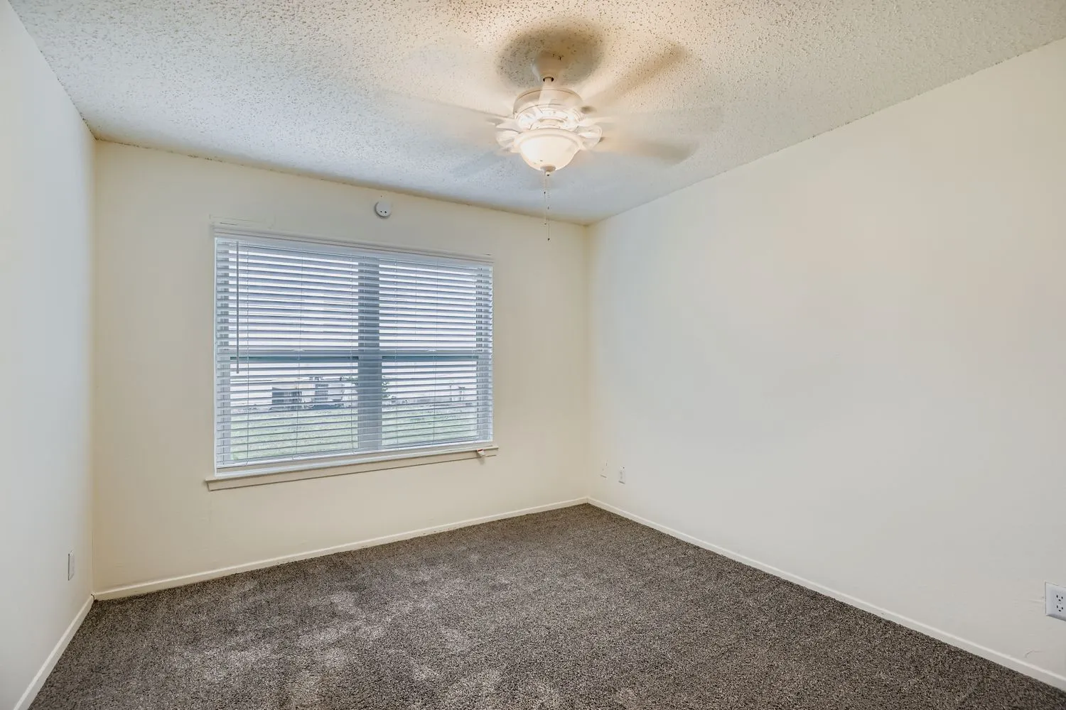 Secondary bedroom with carpet flooring and window