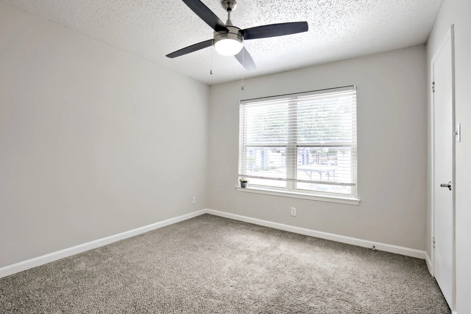 Secondary bedroom with carpet flooring and closet