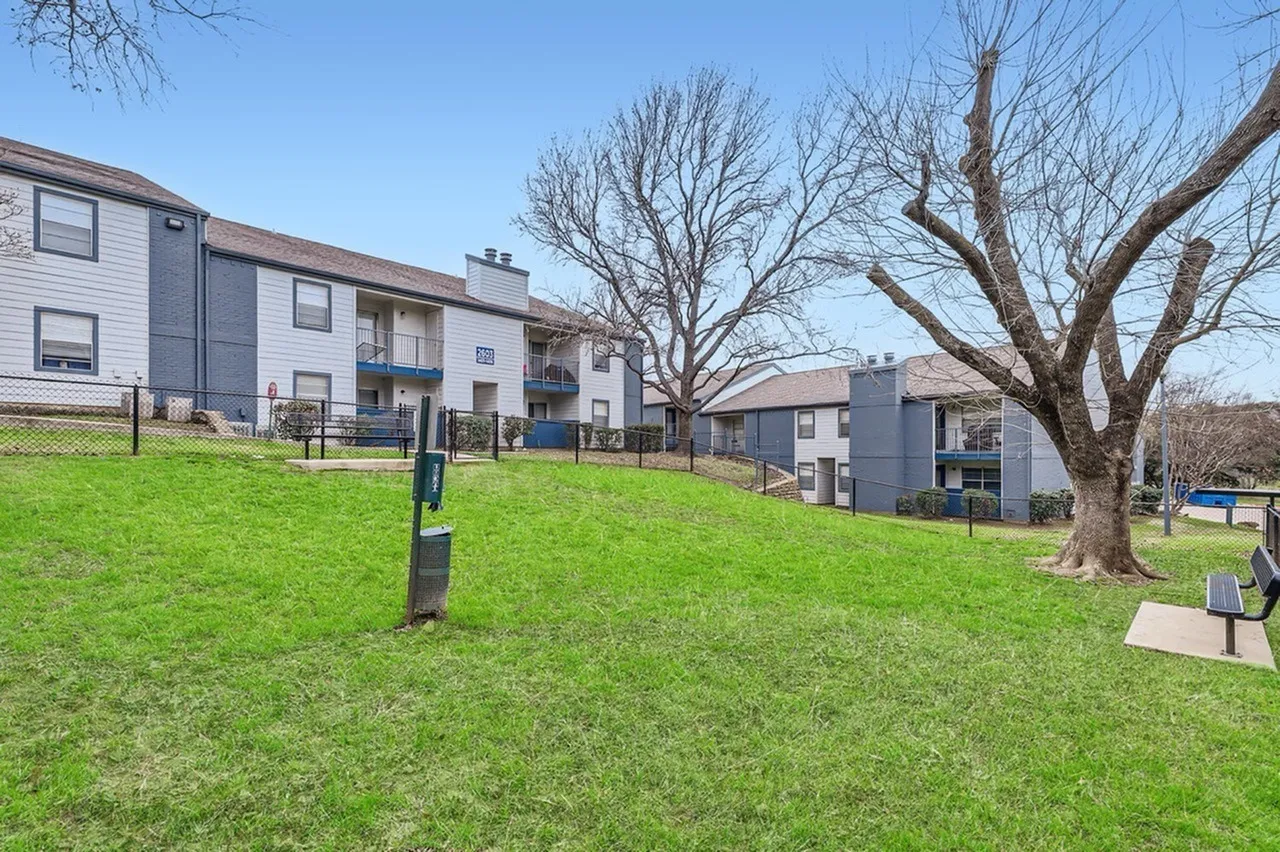 Community green space, large bare tree, residential buildings, picnic area