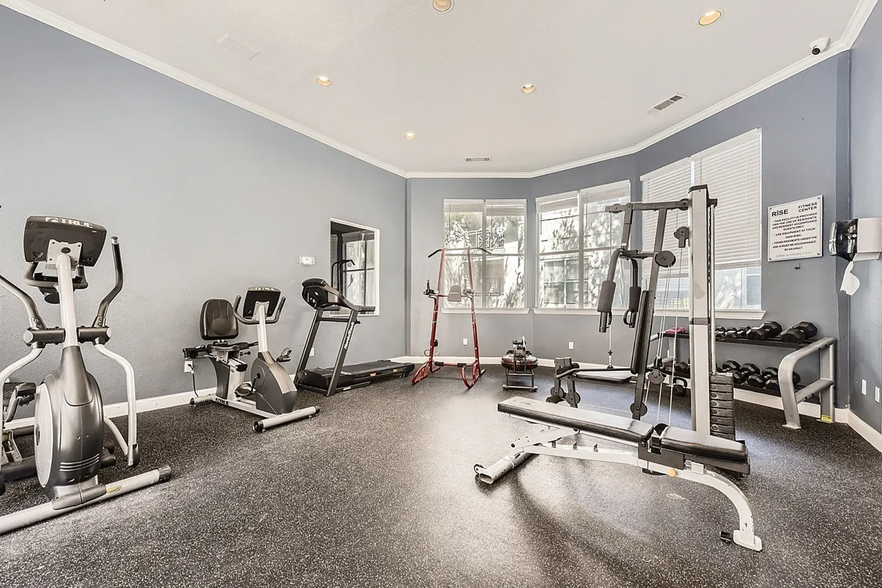 Fitness center, stationary bikes, treadmill, weight rack, wood-style plank flooring