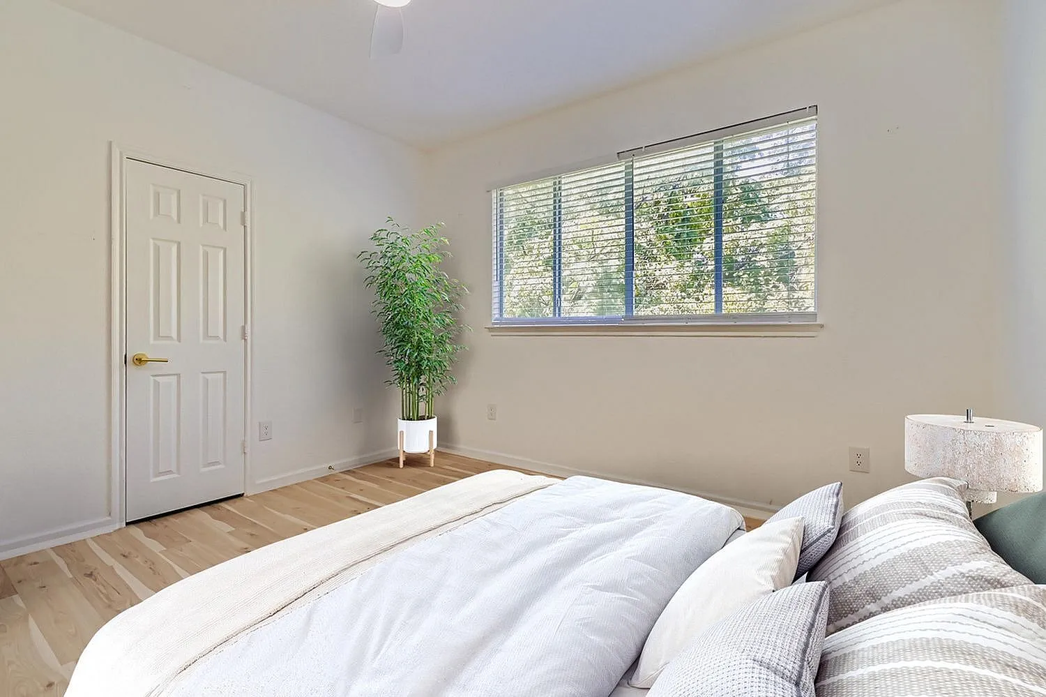 Primary bedroom, wood-style plank flooring, large windows with shutters, potted plant