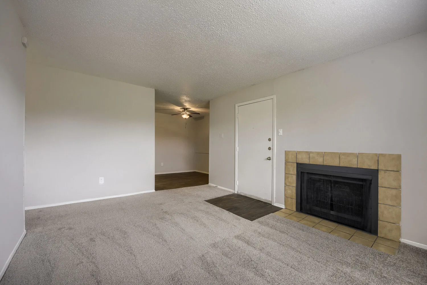 Carpeted living area, tile-front fireplace, front entry door