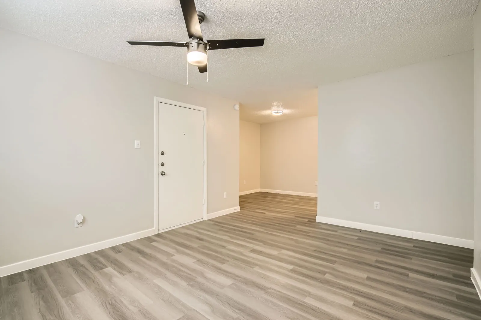 Open living area, wood-style plank flooring, front entry door