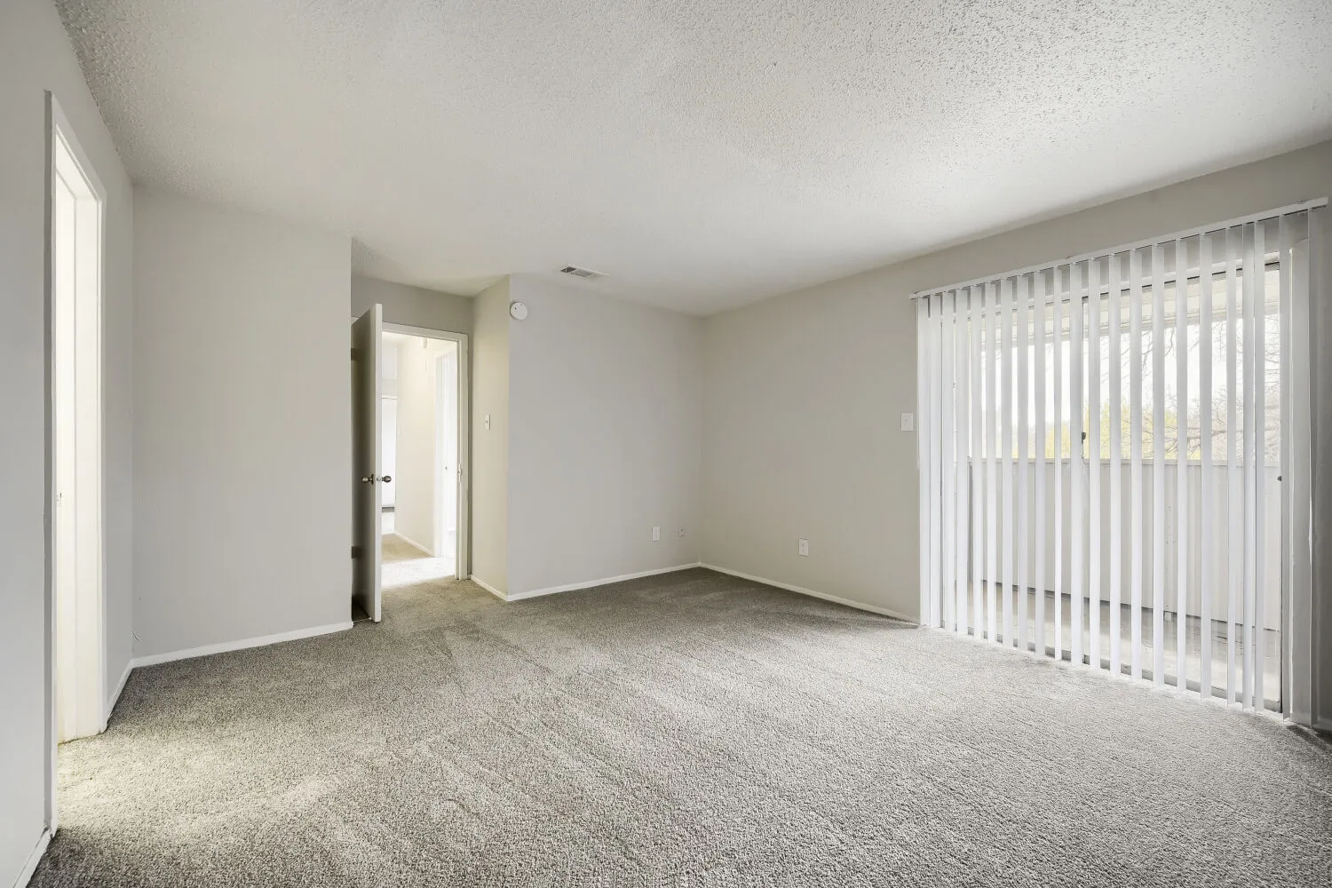 Primary bedroom, sliding glass door, hallway to ensuite bathroom, walk-in closet