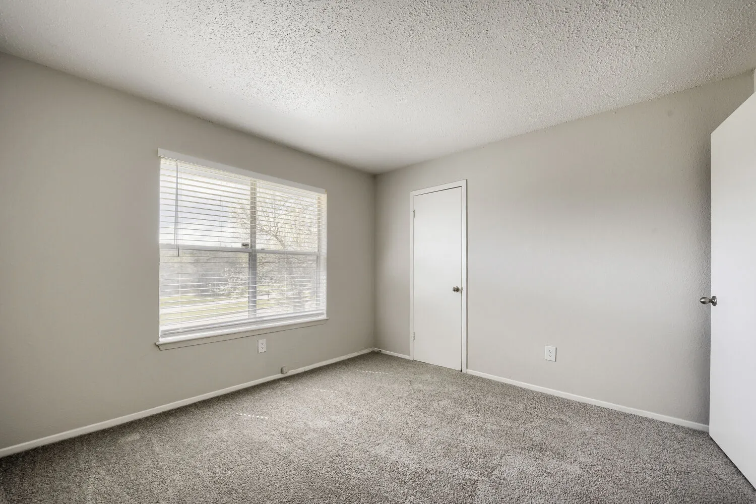 Second bedroom, carpeted flooring, large window, closet