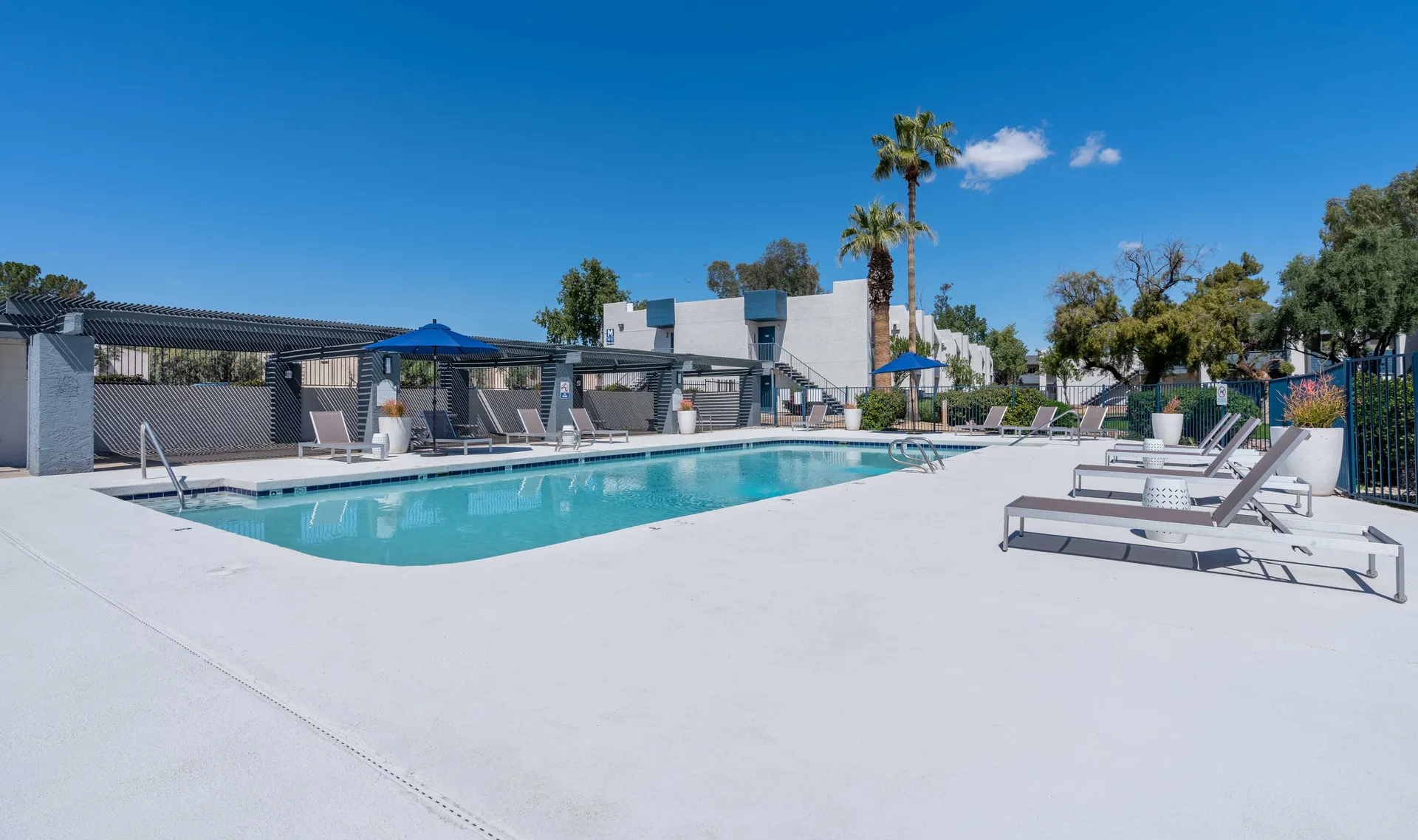 Pool, shaded cabanas, lounge seating, palm trees