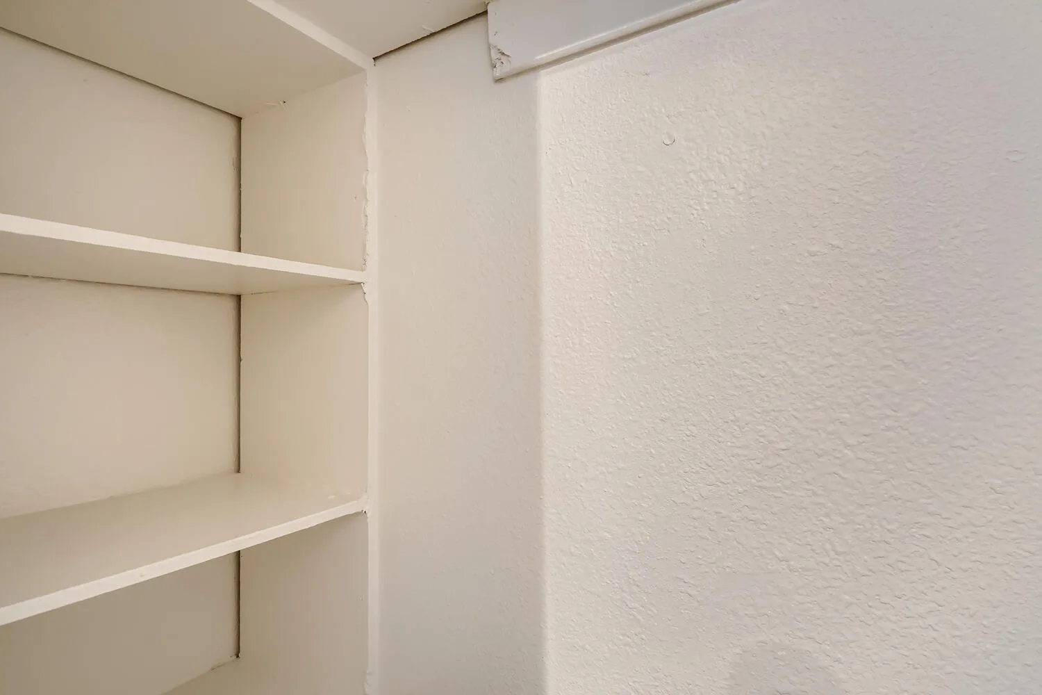 Kitchen pantry closet, built-in shelving