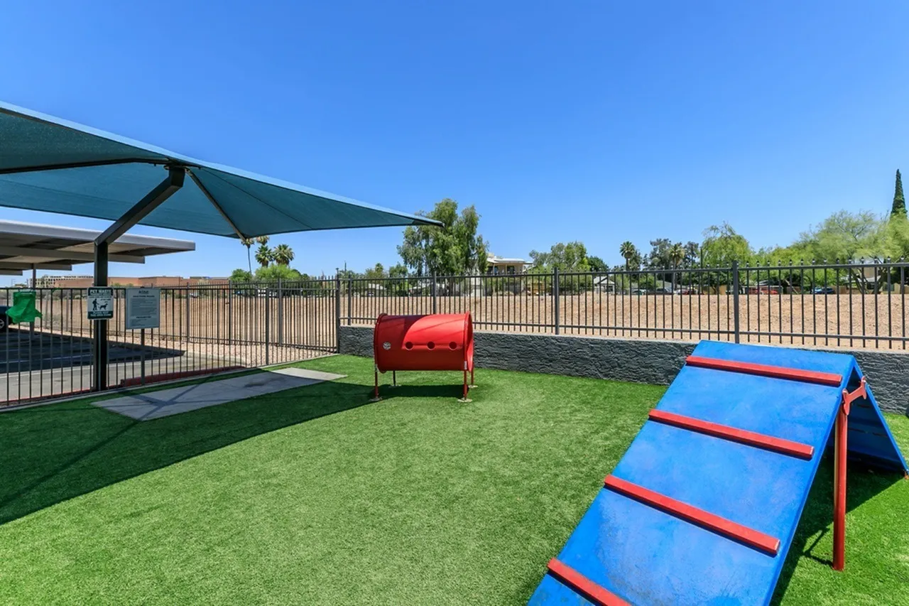 Dog park, artificial turf, blue ramp equipment, red tunnel obstacle, metal fencing, shade canopy