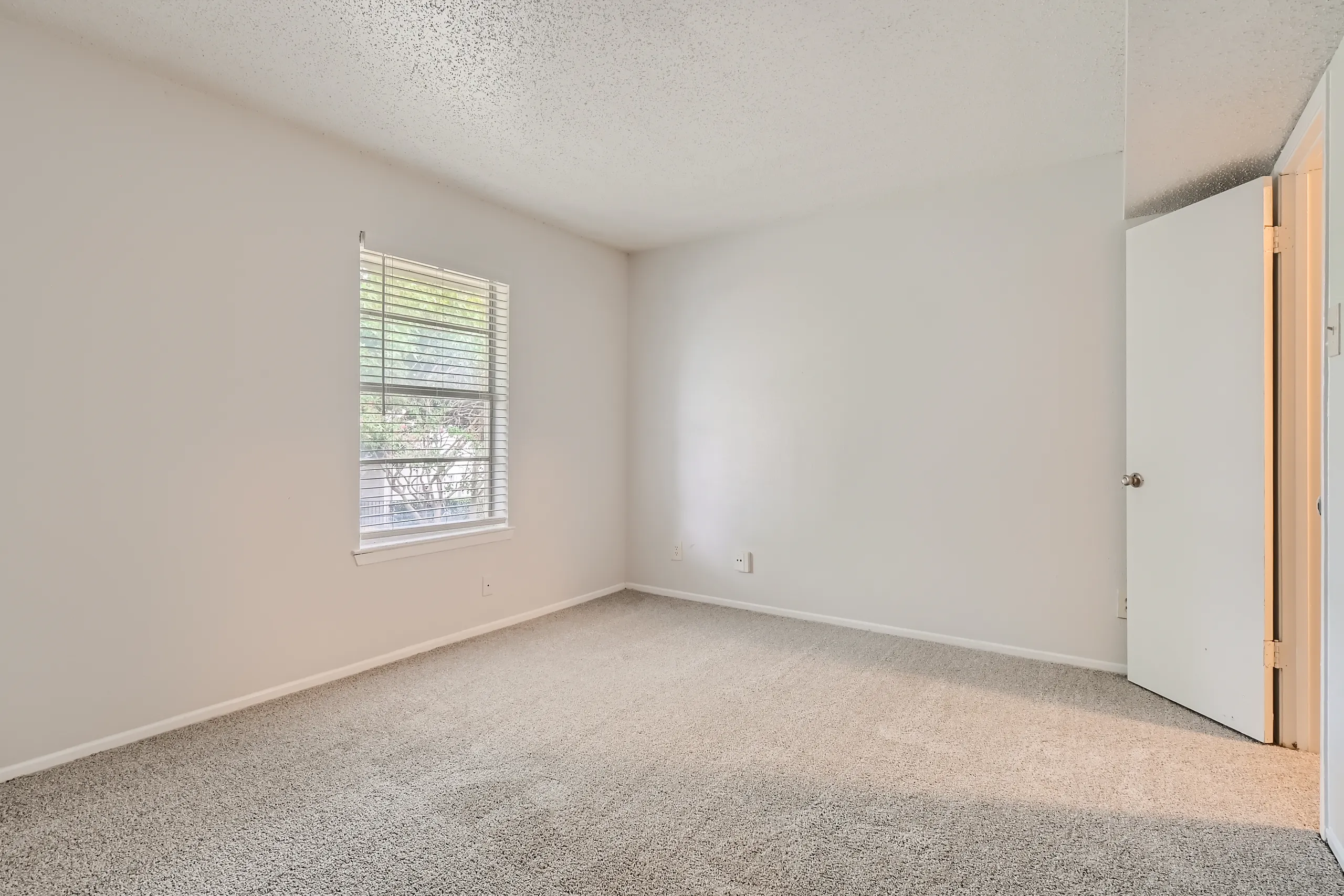 Second bedroom with plush carpet and large window