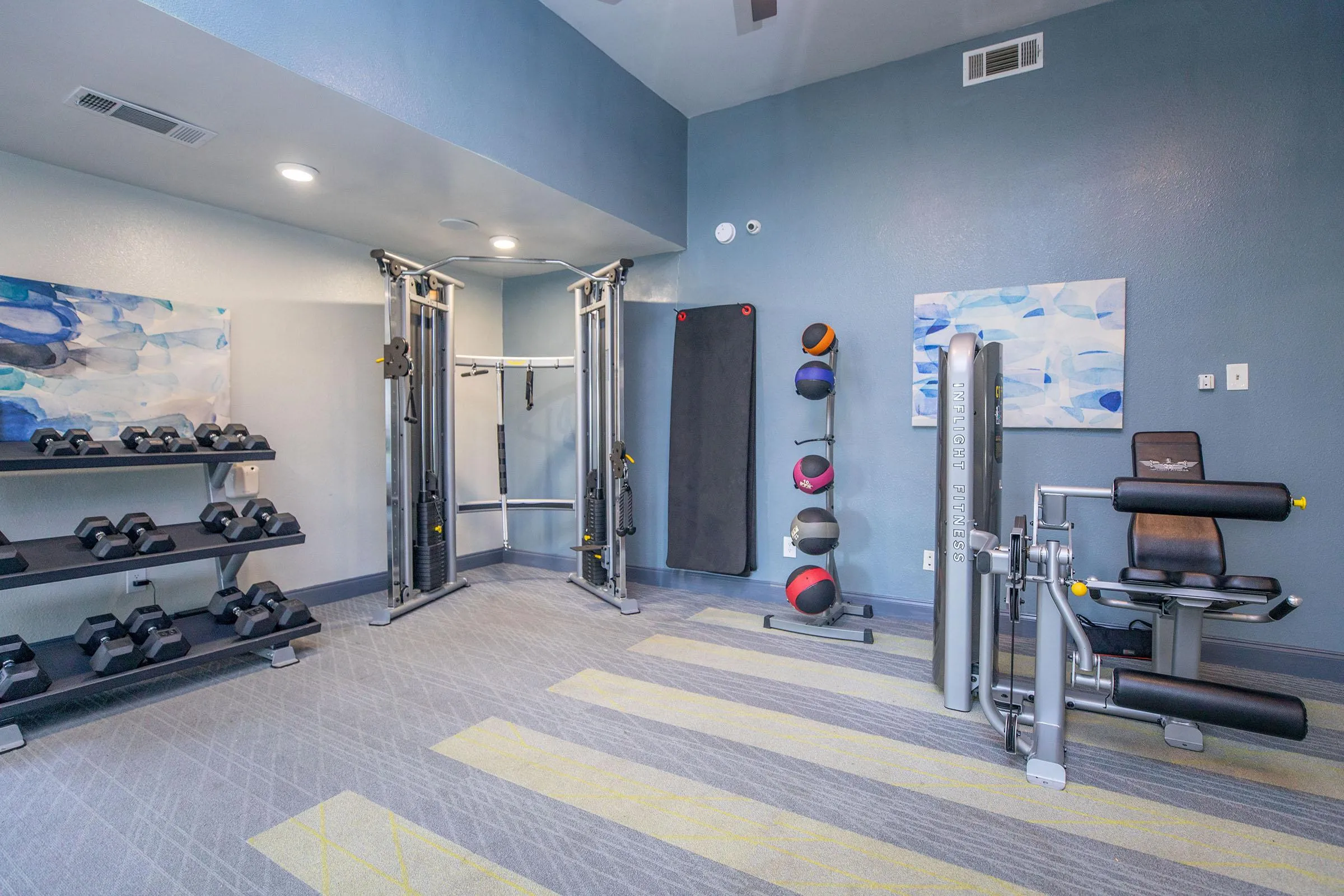Fitness center with functional trainer, medicine ball rack, leg press machine