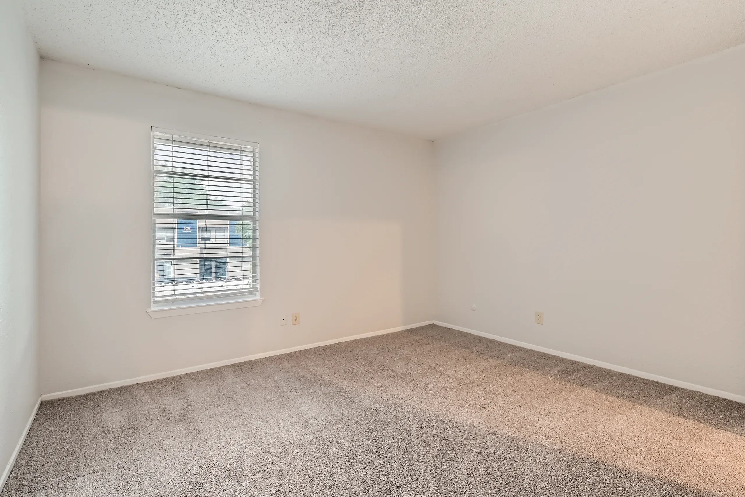 Primary bedroom with plush carpet and large window