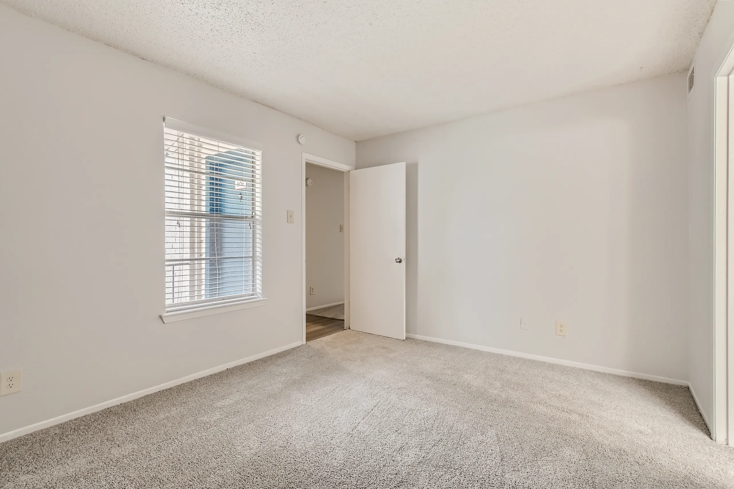 Primary bedroom with plush carpet and large window