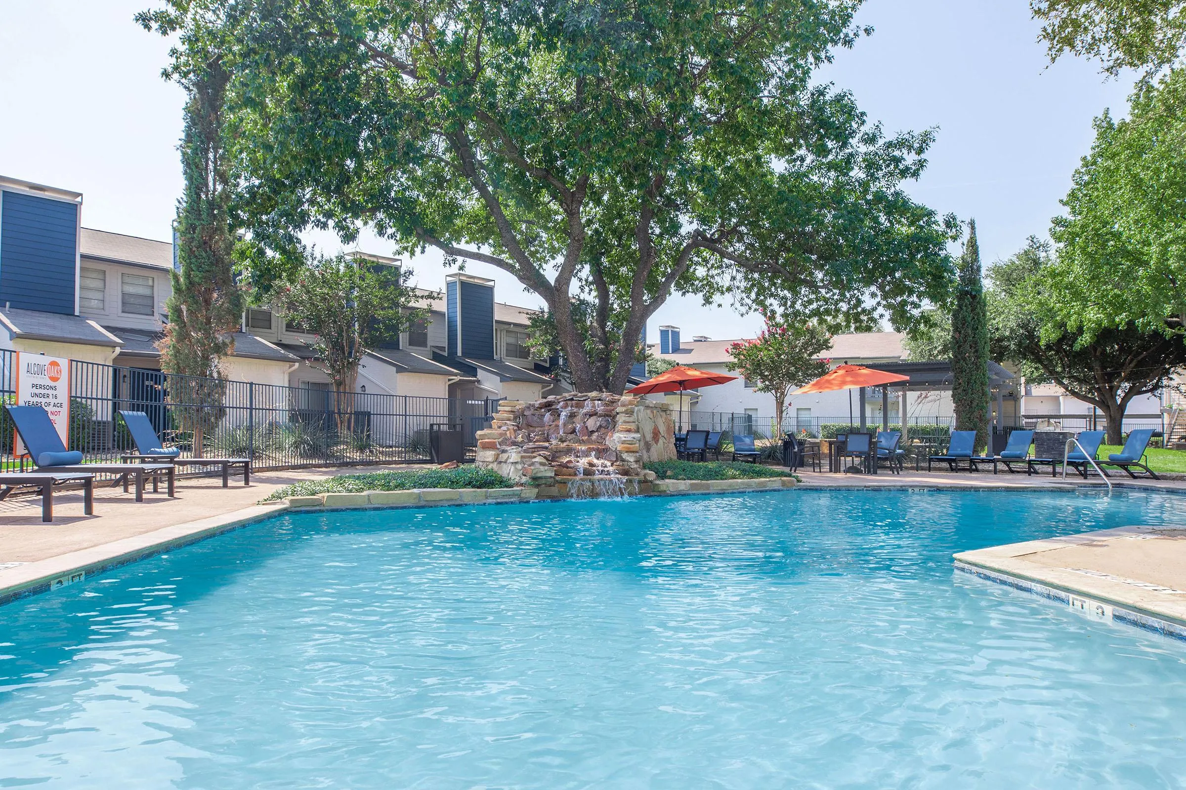 Pool surrounded by mature trees, string lights, covered patio