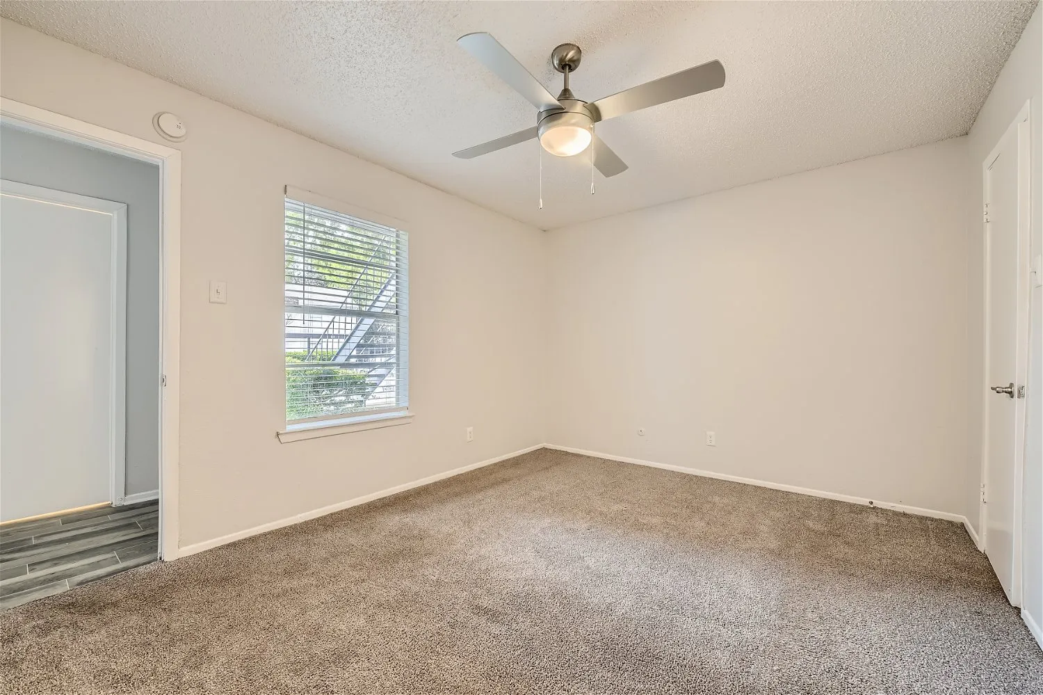Primary bedroom with plush carpet and hallway view