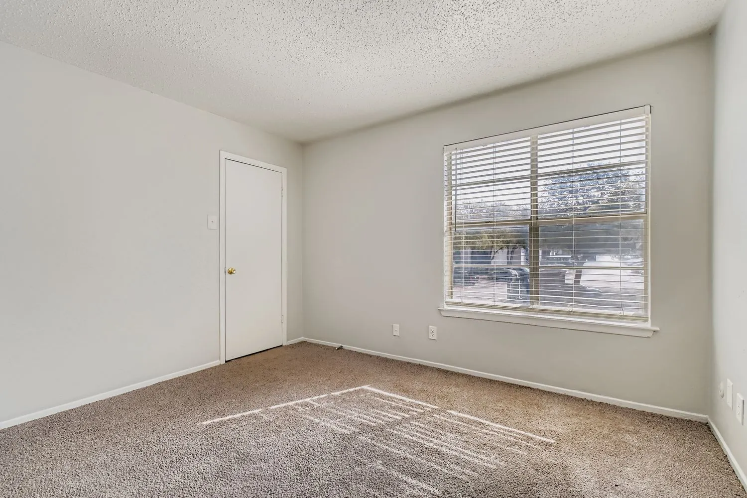 Carpeted bedroom, closet, large window with natural light