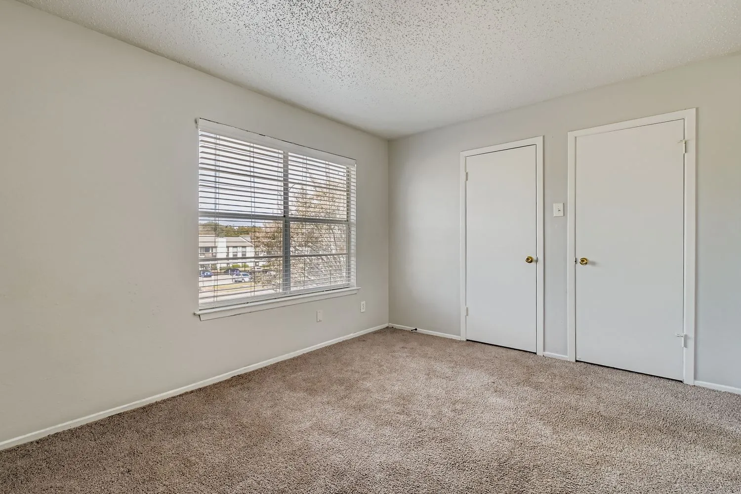 Carpeted bedroom, large window, dual closets