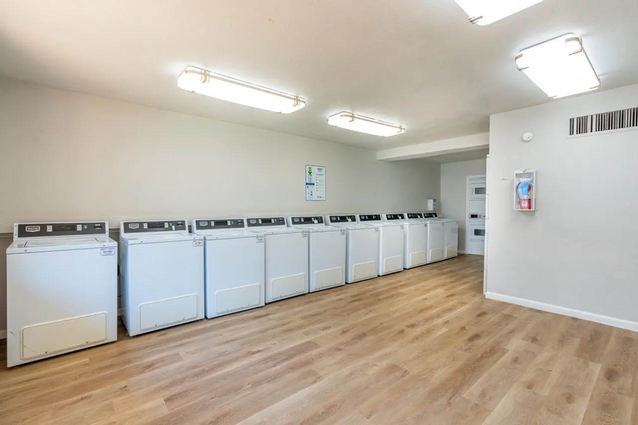 Laundry room, rows of white washers and dryers, wood-style plank flooring, fluorescent overhead lighting