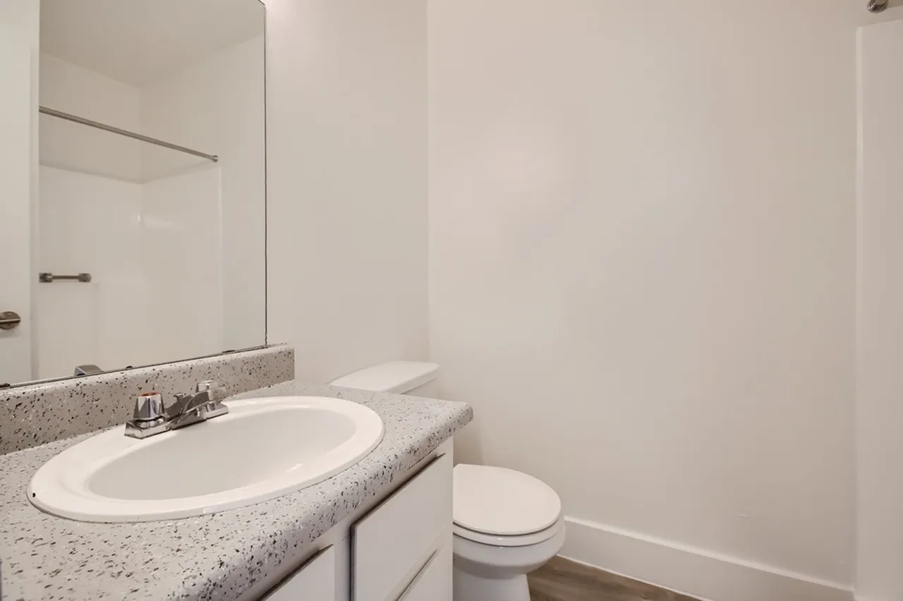 Bathroom, speckled countertop, white sink, chrome fixtures, large mirror