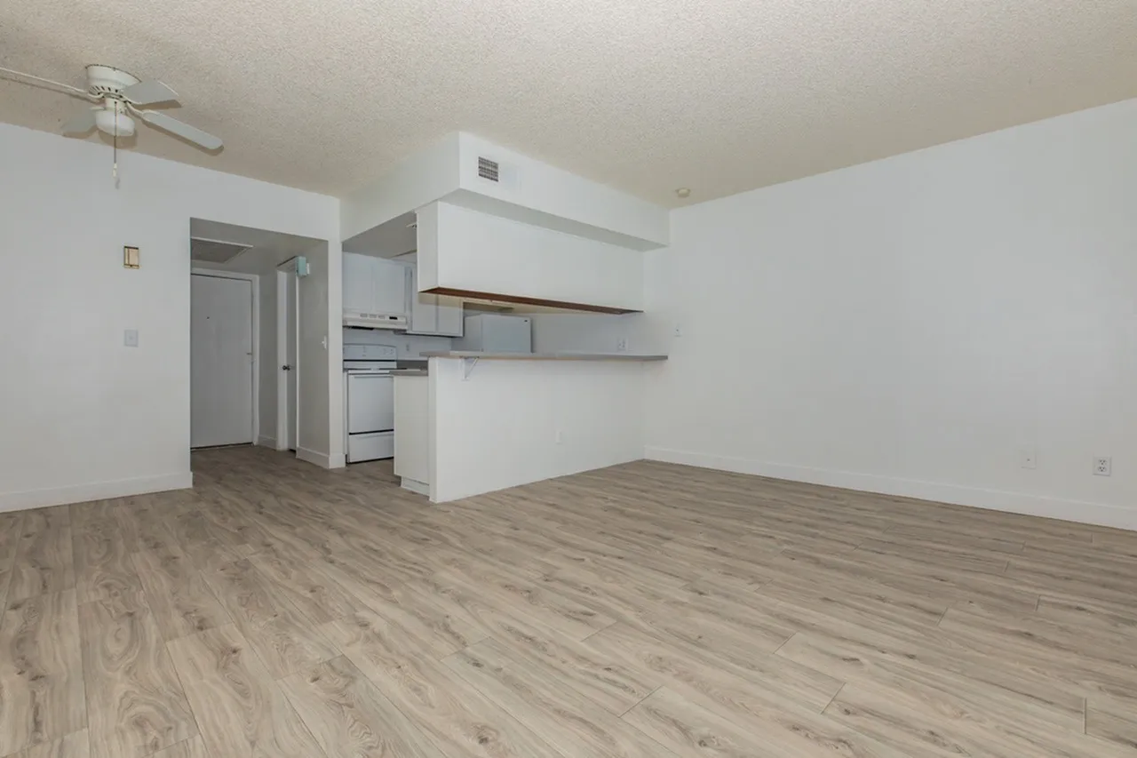 Studio apartment, wood-style plank flooring, white walls, ceiling fan, open kitchen with white cabinetry and stainless appliances