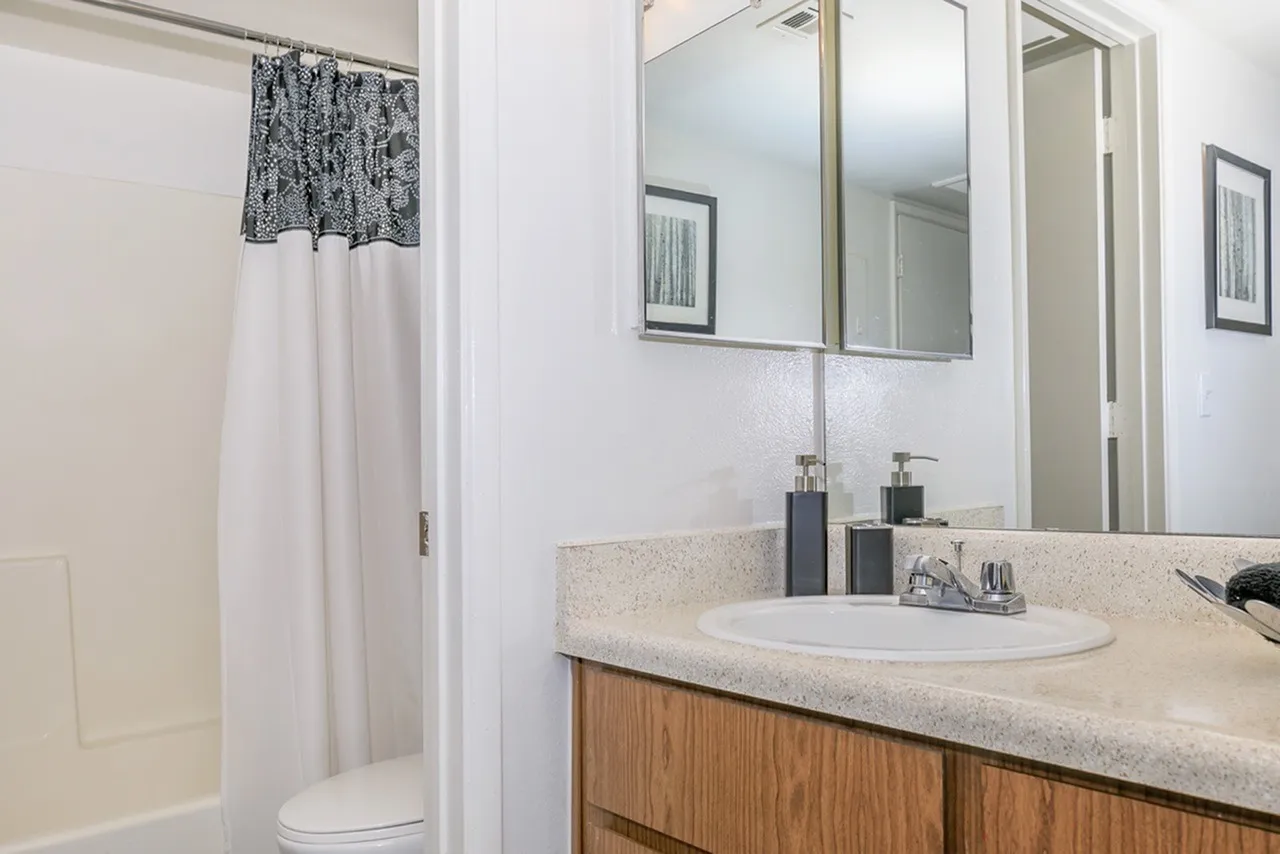 Bathroom, light countertop, wood-style vanity, large mirror, ceramic sink