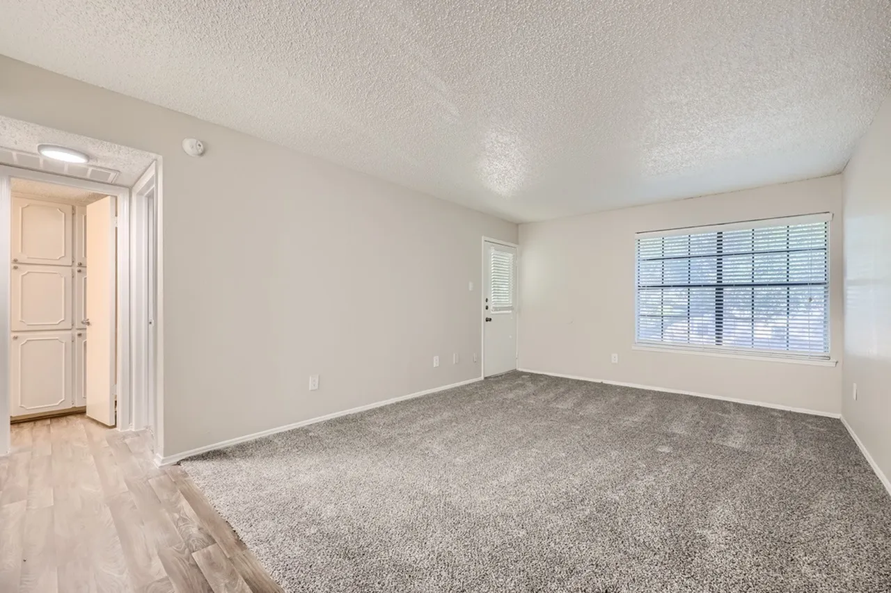 Bedroom, gray carpeting, wood-style plank flooring, large window with shutters, entry door