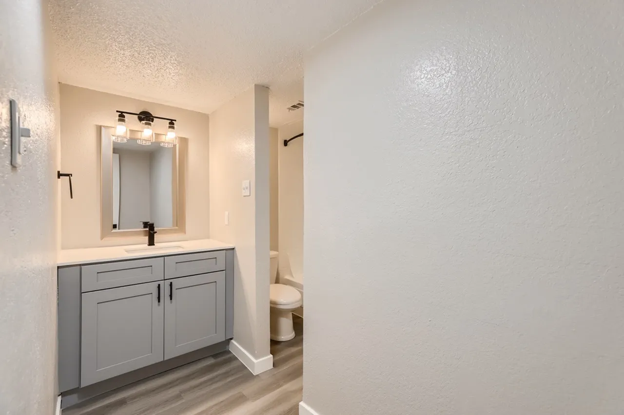 Primary bathroom, gray cabinetry, quartz countertops, wood-style plank flooring, framed mirror