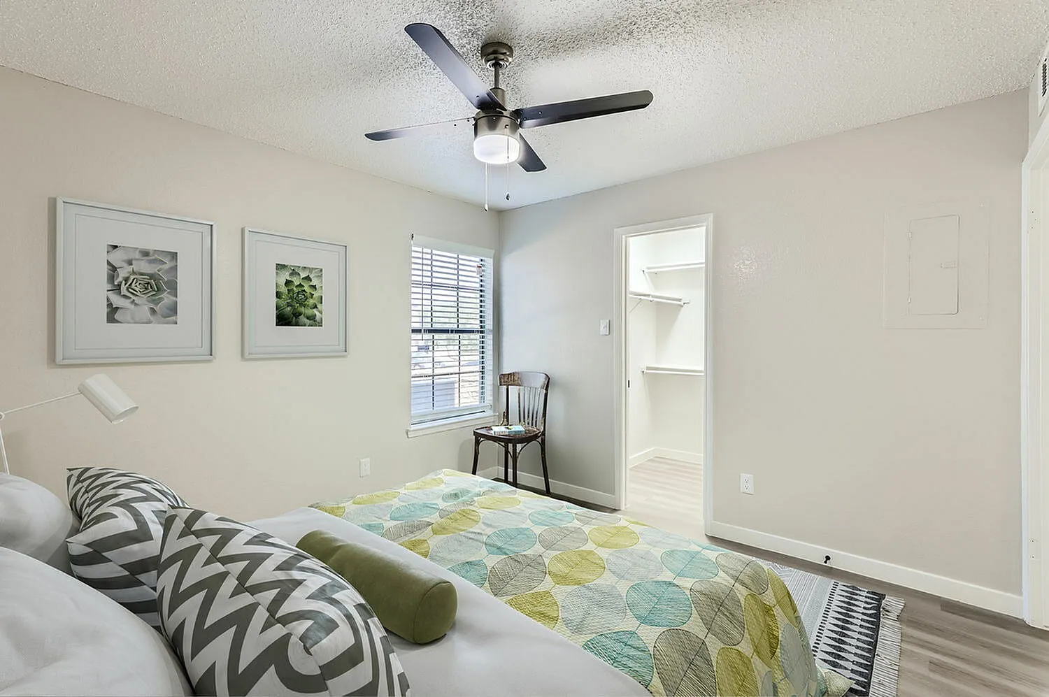 Primary bedroom, ceiling fan, framed artwork, patterned bedding