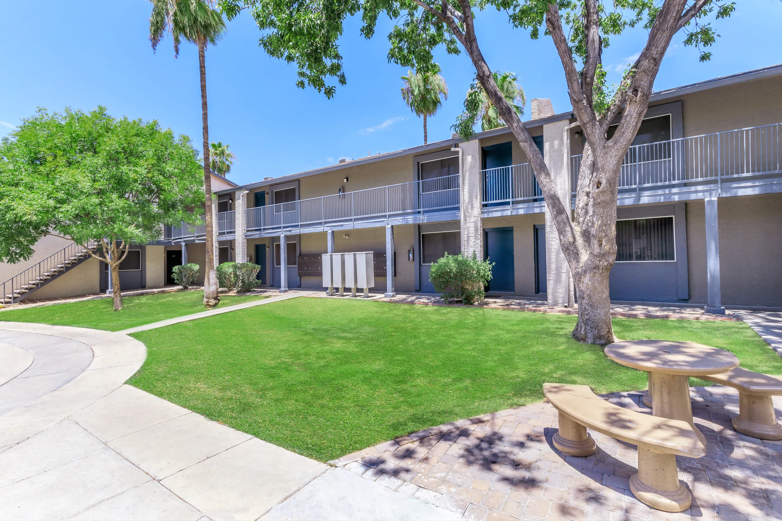 Community courtyard with stone seating and shade trees