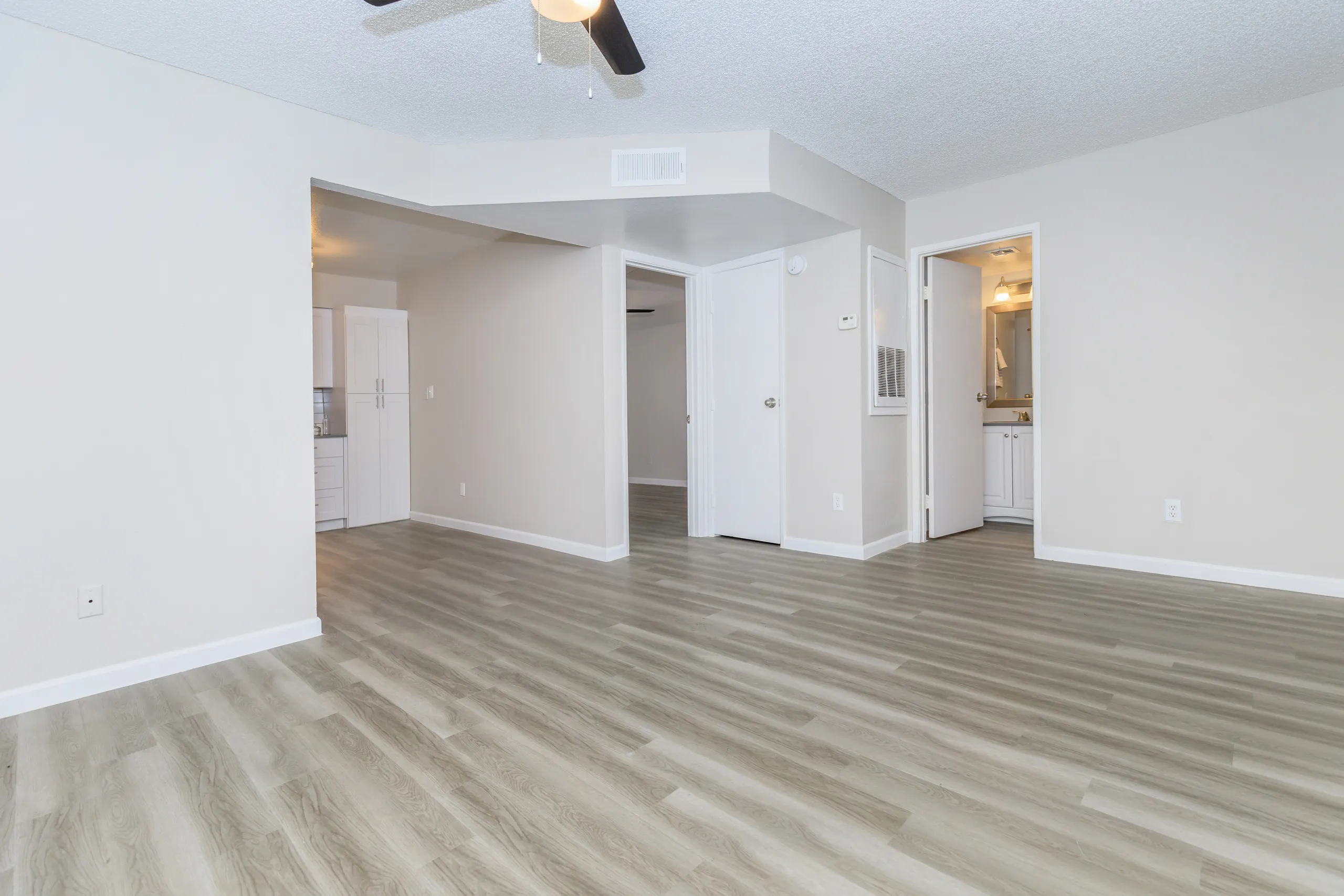 Open living area with views into kitchen and hallway
