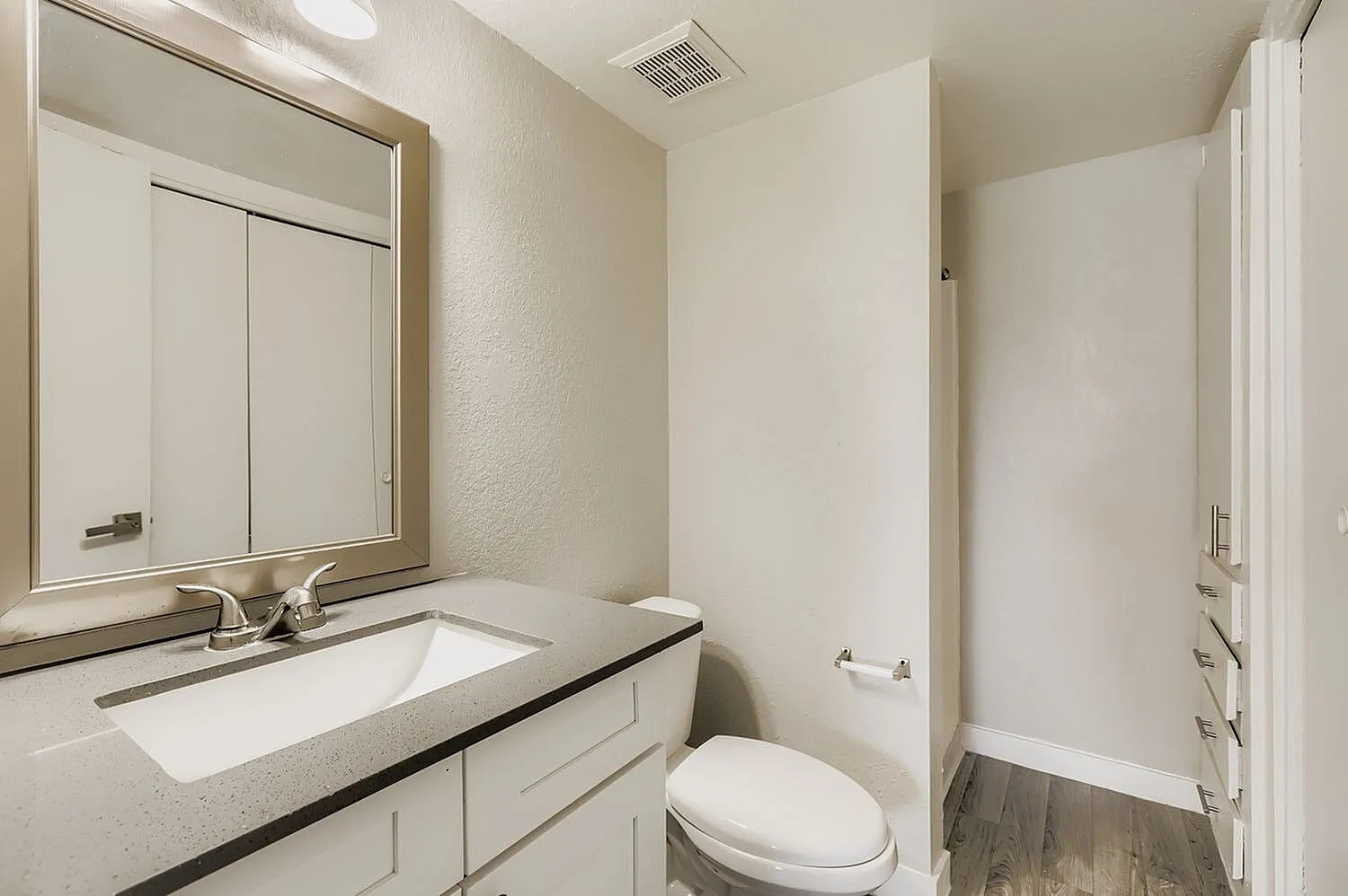 Bathroom, white vanity cabinetry, quartz countertop, framed mirror, toilet