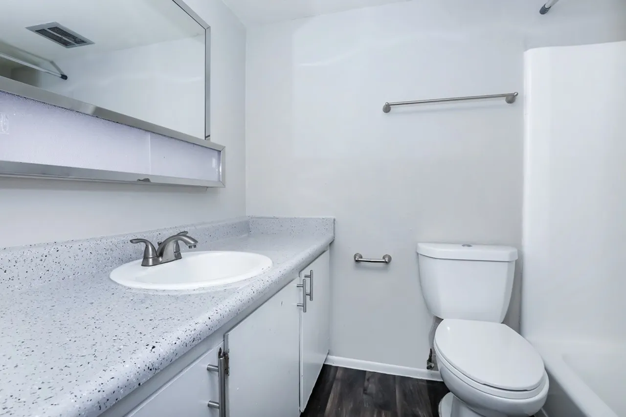 Bathroom, white oval sink, quartz countertop, toilet, mirror, wood-style plank flooring
