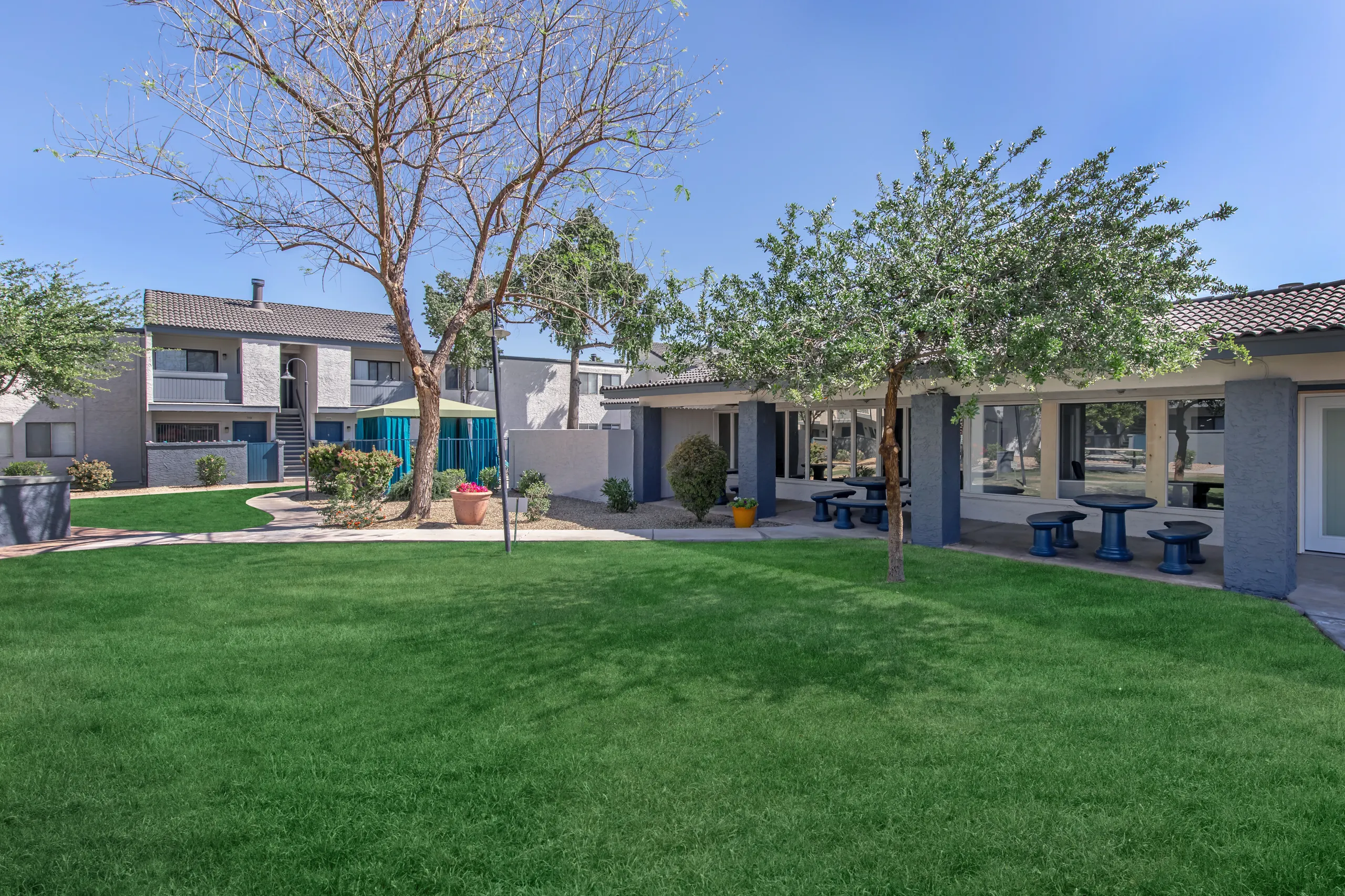 Community courtyard, covered seating area, mature shade trees