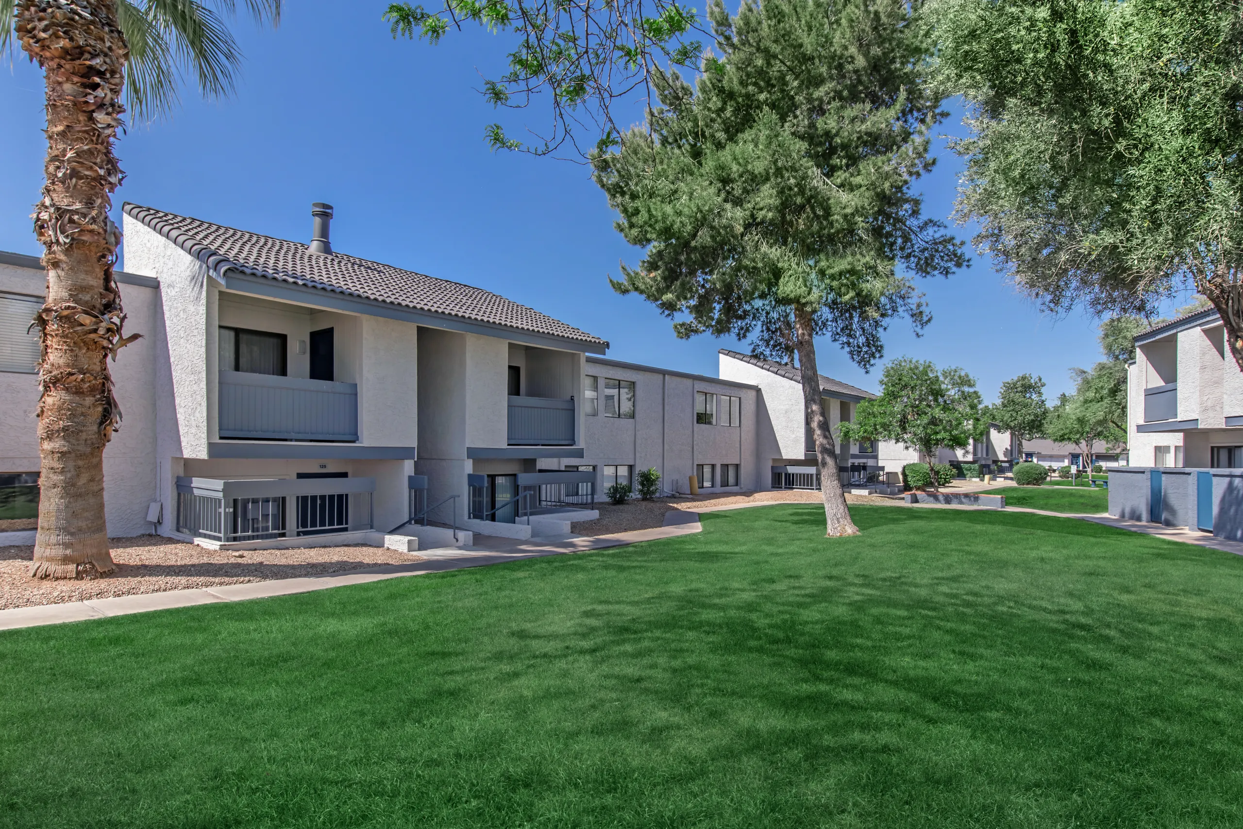 Community grounds, mature palm and shade trees, manicured lawn