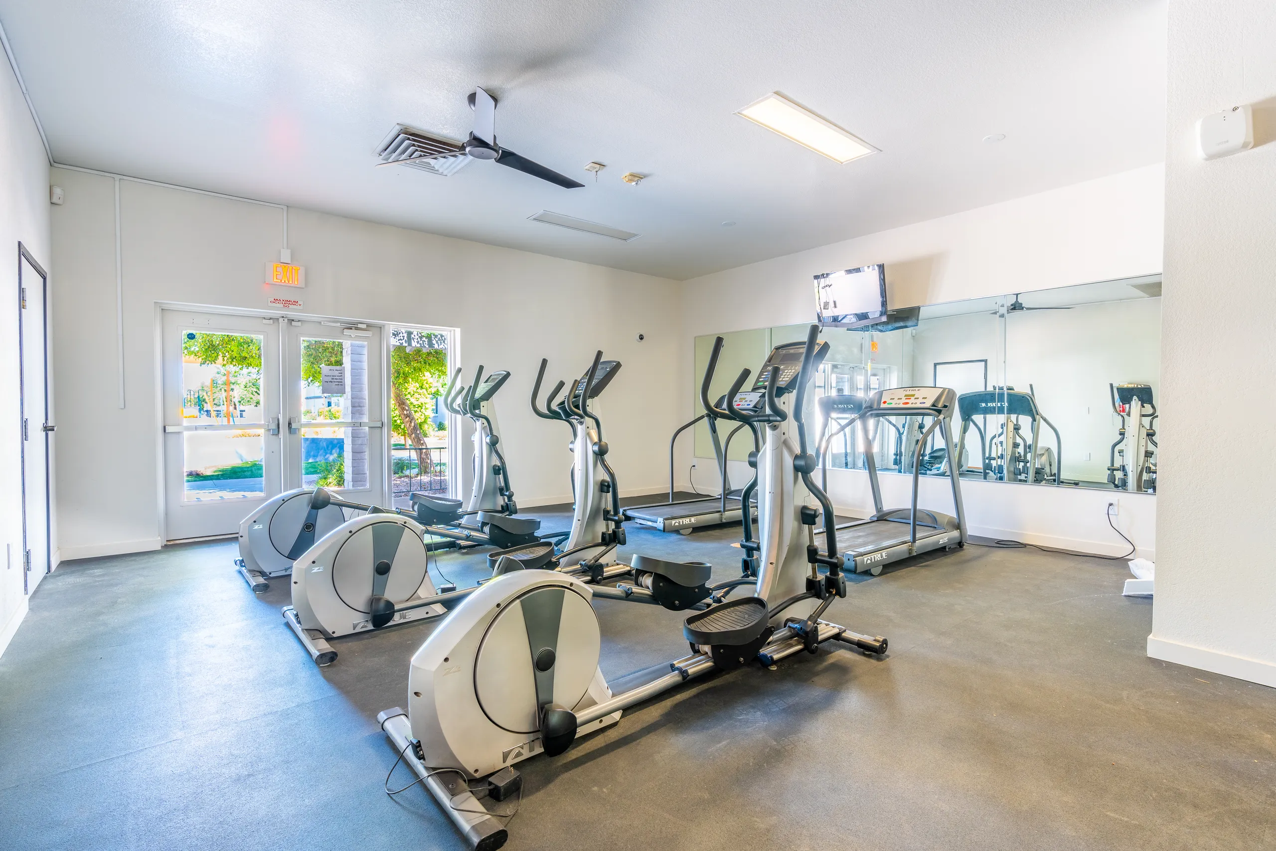 Ellipticals, treadmills, mirrored wall, mounted TV