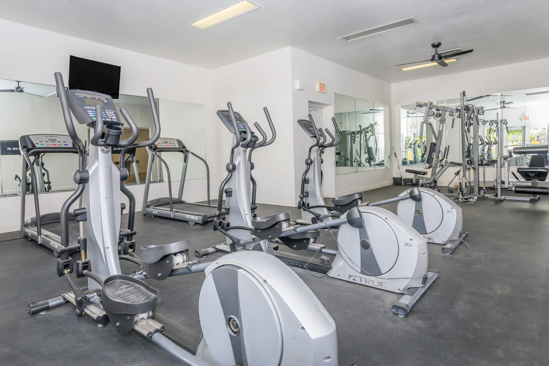 Elliptical machines, treadmills, weight equipment, mirrored wall