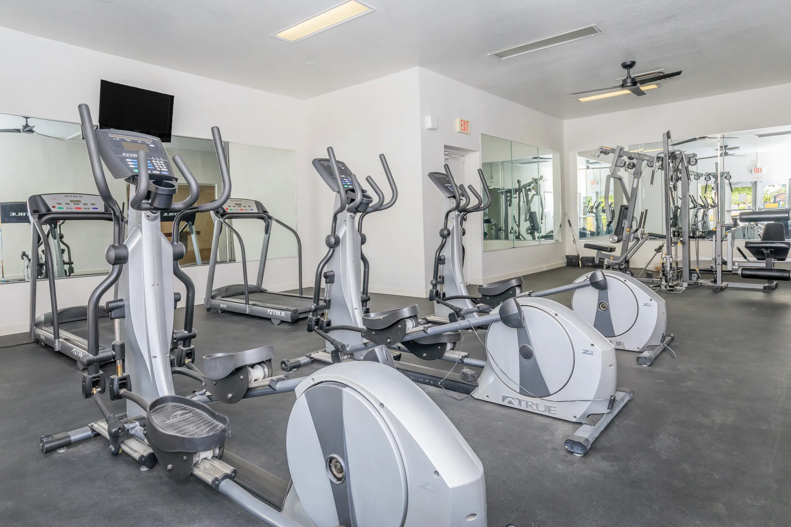 Elliptical machines, treadmills, weight equipment, mirrored wall