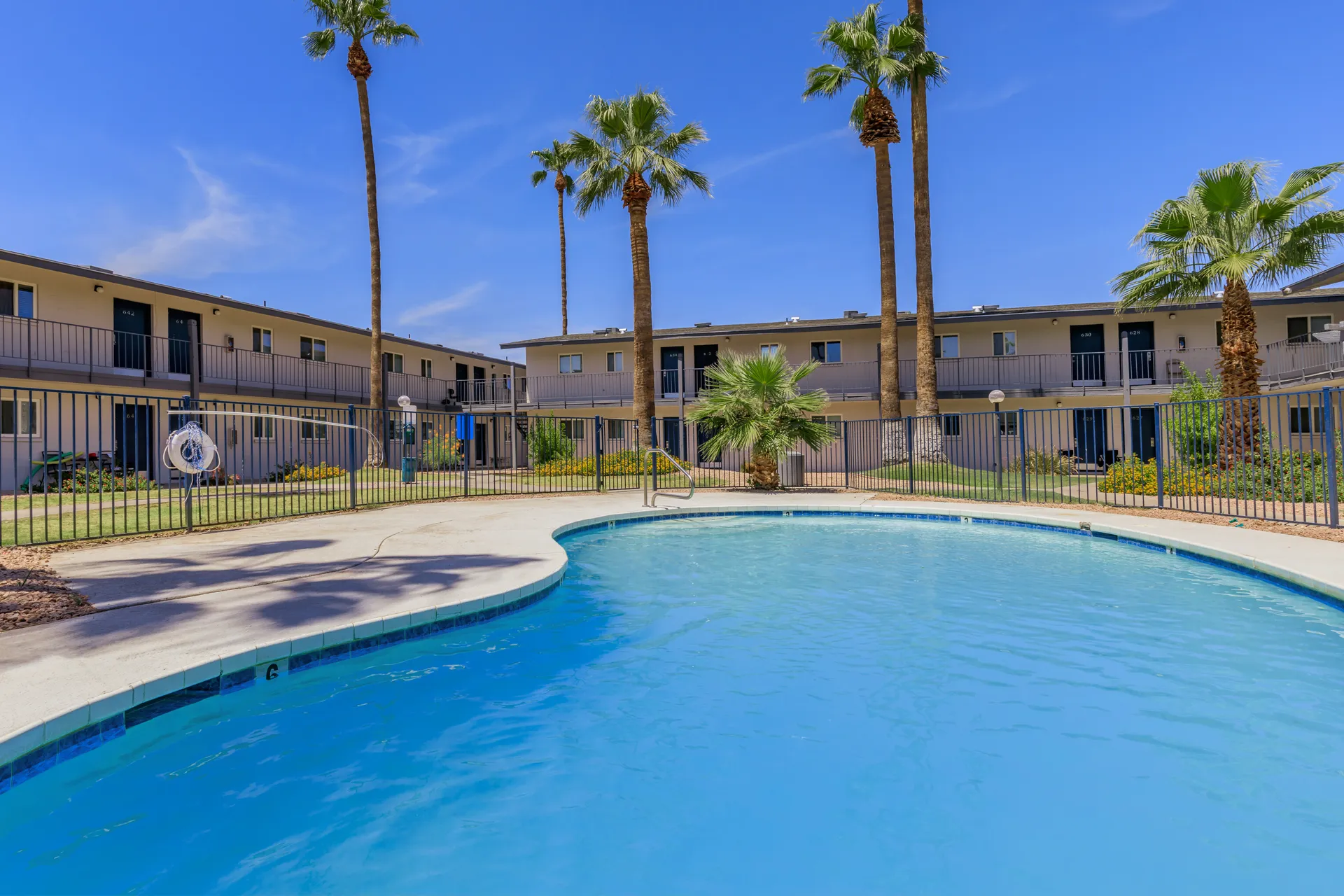 Curved pool design, palm trees, private balcony units
