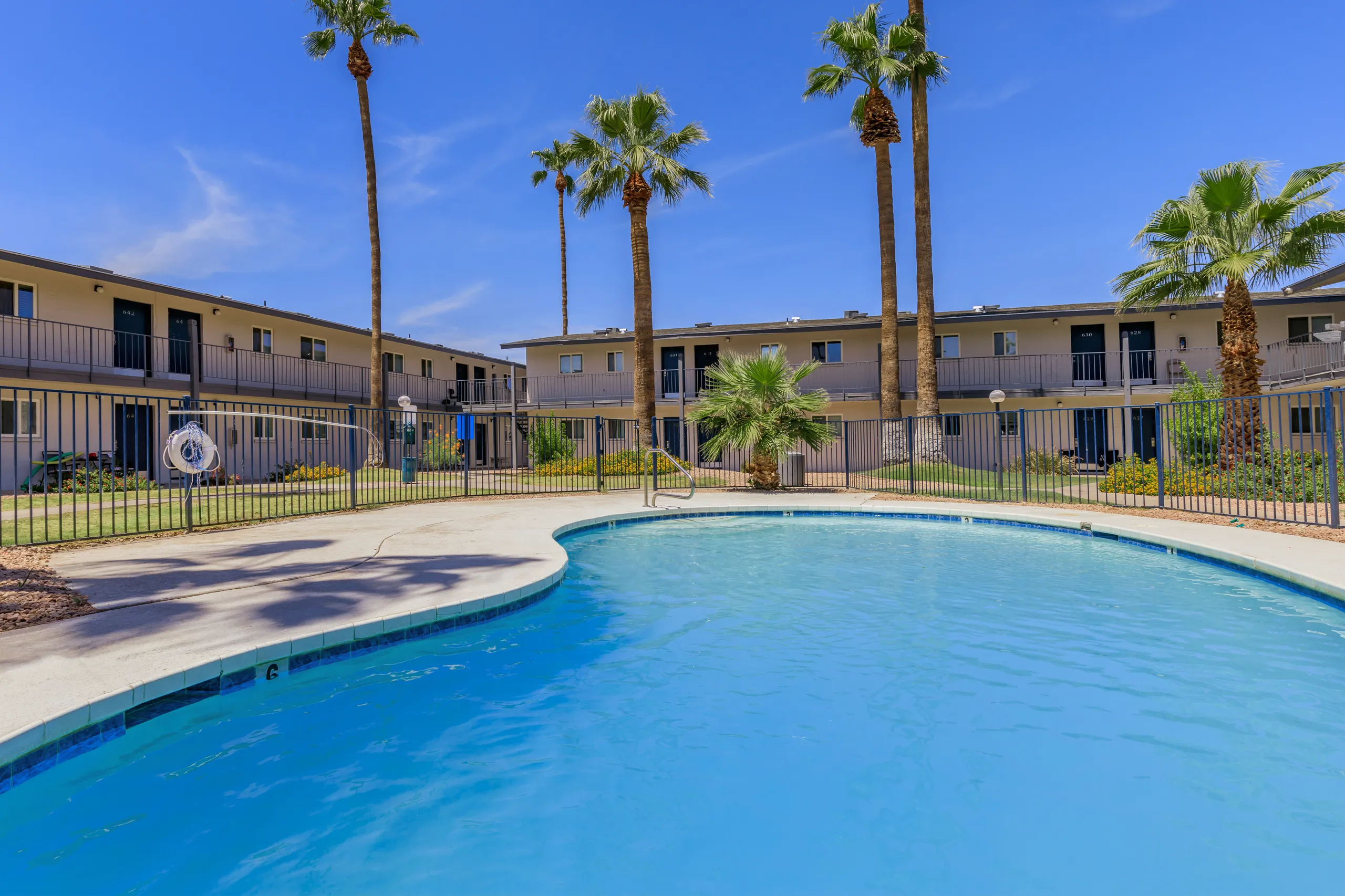 Curved pool design, palm trees, private balcony units