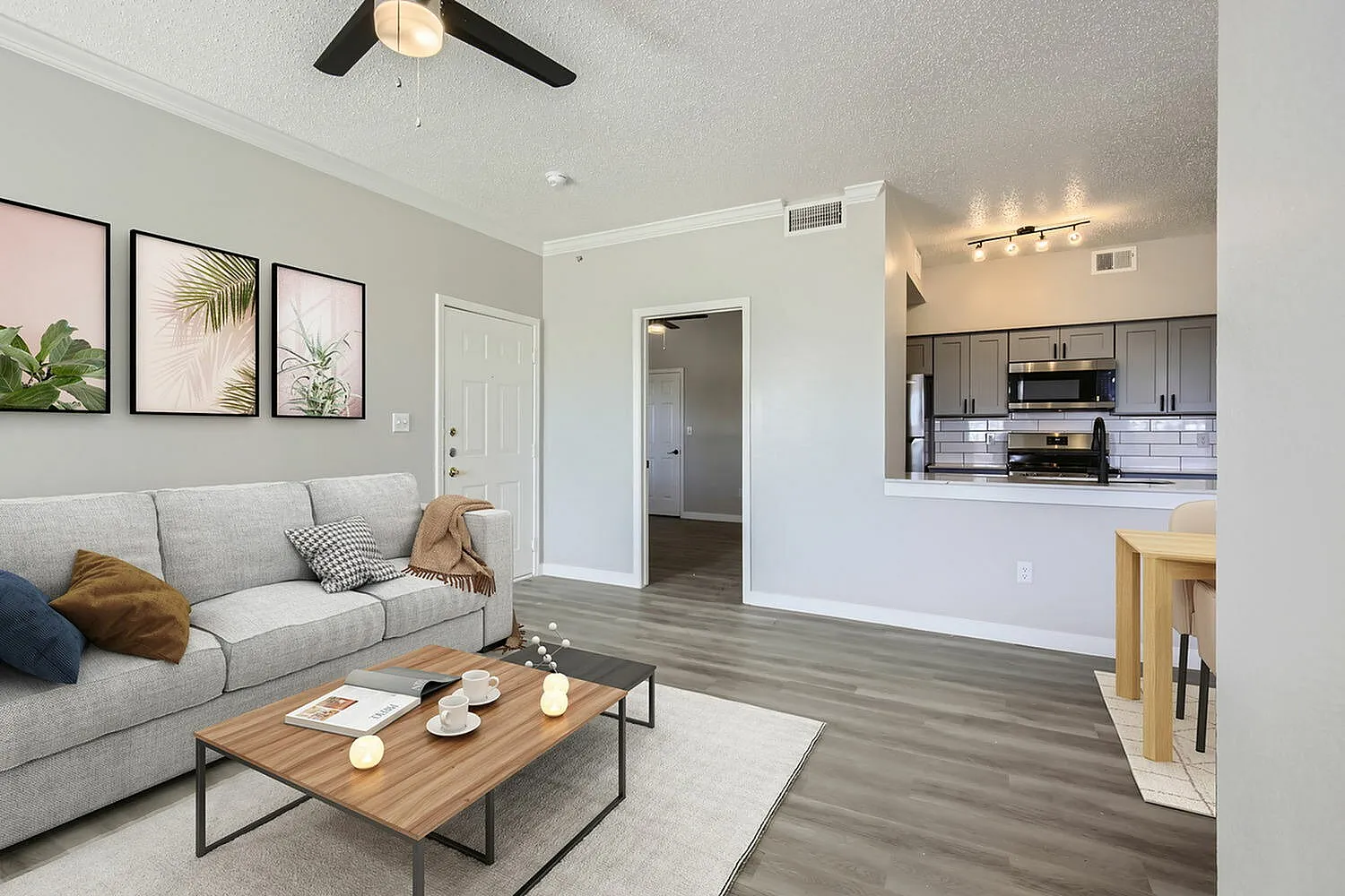 Living room, ceiling fan, view to kitchen