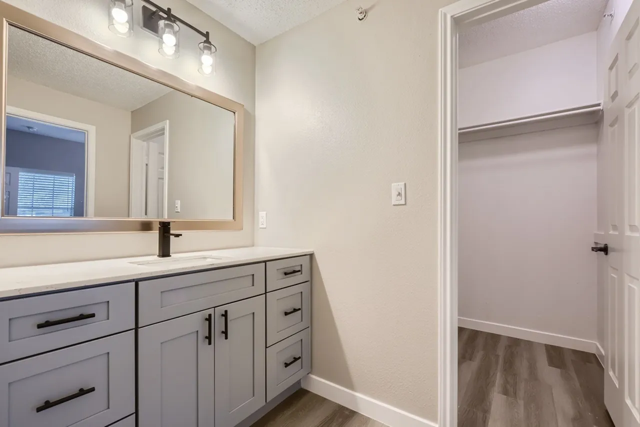 Bathroom vanity, framed mirror, walk-in closet