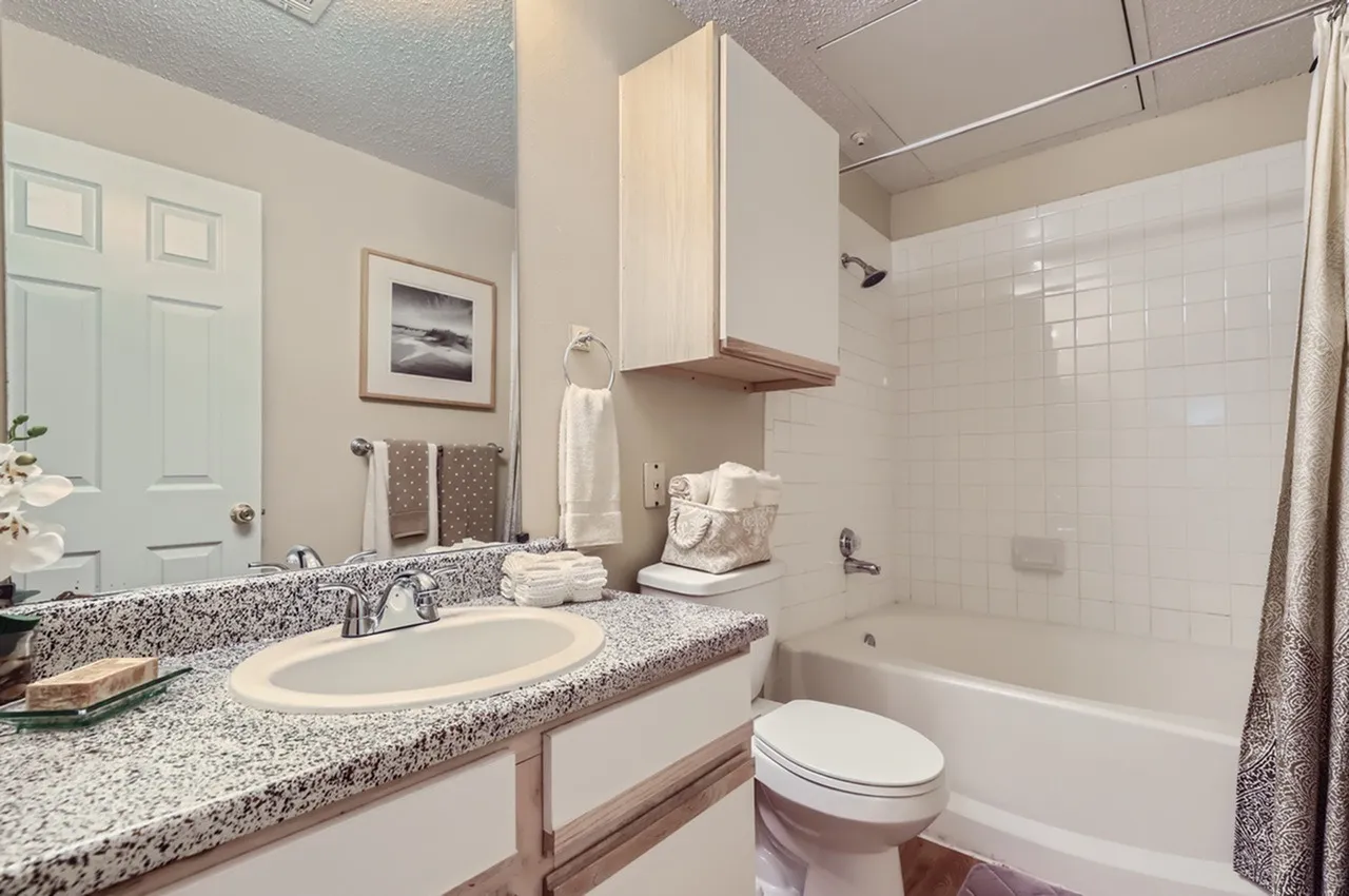 Tub shower, speckled countertop vanity