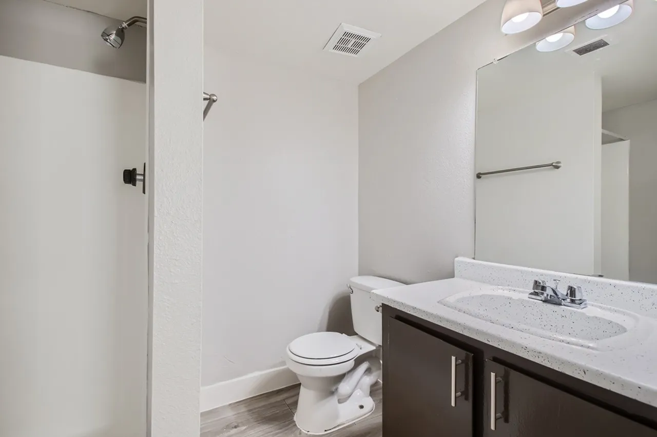 Bathroom, dark cabinetry, quartz countertops, glass shower enclosure, wood-style plank flooring